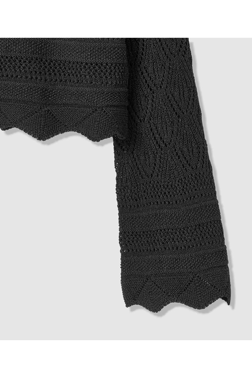 【アルアバイル/allureville】のレースニットプルオーバー 人気、トレンドファッション・服の通販 founy(ファニー) 　ファッション　Fashion　レディースファッション　Fashion for Women　トップス・カットソー　Cut & Sew Tops　ニット　Knit Tops & Sweaters　カジュアルプルオーバー・ニットトップス　Pullovers & Knit Tops / Casual Pullovers　2026年　2026　おすすめ　Recommended / Our Picks　ジャケット　Jacket, Outerwear　トレンド　Trend, Trending Now　ペーパー　Paper, Kraft Paper　レース　Lace, Lace Fabric　夏　Summer　春　Spring　S/S・春夏　SS, Spring/Summer, Warm Season　other-4|ID: prp329100004837686 ipo3291000000035247858