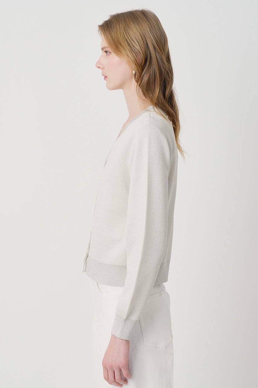 【アナイ/ANAYI】のシアーラメダブルウィーブVカーディガン 人気、トレンドファッション・服の通販 founy(ファニー) 　ファッション　Fashion　レディースファッション　Fashion for Women　トップス・カットソー　Cut & Sew Tops　ニット　Knit Tops & Sweaters　カーディガン・羽織り　Layered Style Cardigans　2026年　2026　カーディガン　Cardigan, Knitwear　シアー　Sheer, See-Through　スリーブ　Sleeve, Long Sleeve / Short Sleeve　ロング　Long, Long-Length　再入荷　Restock / Back in Stock　夏　Summer　春　Spring　S/S・春夏　SS, Spring/Summer, Warm Season　other-3|ID: prp329100004838699 ipo3291000000036234581