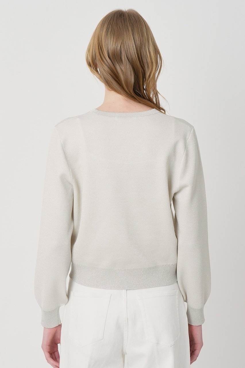 【アナイ/ANAYI】のシアーラメダブルウィーブVカーディガン 人気、トレンドファッション・服の通販 founy(ファニー) 　ファッション　Fashion　レディースファッション　Fashion for Women　トップス・カットソー　Cut & Sew Tops　ニット　Knit Tops & Sweaters　カーディガン・羽織り　Layered Style Cardigans　2026年　2026　カーディガン　Cardigan, Knitwear　シアー　Sheer, See-Through　スリーブ　Sleeve, Long Sleeve / Short Sleeve　ロング　Long, Long-Length　再入荷　Restock / Back in Stock　夏　Summer　春　Spring　S/S・春夏　SS, Spring/Summer, Warm Season　other-4|ID: prp329100004838699 ipo3291000000036234582