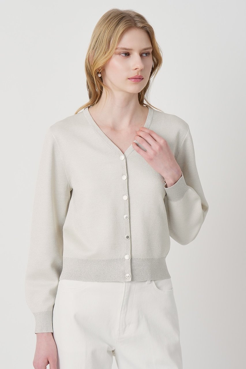 【アナイ/ANAYI】のシアーラメダブルウィーブVカーディガン 人気、トレンドファッション・服の通販 founy(ファニー) 　ファッション　Fashion　レディースファッション　Fashion for Women　トップス・カットソー　Cut & Sew Tops　ニット　Knit Tops & Sweaters　カーディガン・羽織り　Layered Style Cardigans　2026年　2026　カーディガン　Cardigan, Knitwear　シアー　Sheer, See-Through　スリーブ　Sleeve, Long Sleeve / Short Sleeve　ロング　Long, Long-Length　再入荷　Restock / Back in Stock　夏　Summer　春　Spring　S/S・春夏　SS, Spring/Summer, Warm Season　other-5|ID: prp329100004838699 ipo3291000000036234583