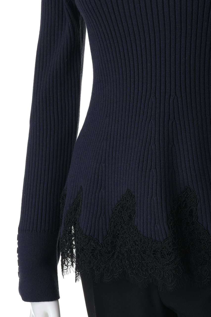 【アルアバイル/allureville】のレースドッキングリブプルオーバー 人気、トレンドファッション・服の通販 founy(ファニー) 　ファッション　Fashion　レディースファッション　Fashion for Women　トップス・カットソー　Cut & Sew Tops　ニット　Knit Tops & Sweaters　カジュアルプルオーバー・ニットトップス　Pullovers & Knit Tops / Casual Pullovers　2026年　2026　おすすめ　Recommended / Our Picks　エレガント 上品　Elegant　セットアップ　Set-Up, Coordinated Outfit　ドッキング　Docking, Mixed Material　フェミニン　Feminine, Girly　ペプラム　Peplum, Flared Hem　モックネック　Mock Neck, Short Turtleneck　レース　Lace, Lace Fabric　夏　Summer　春　Spring　S/S・春夏　SS, Spring/Summer, Warm Season　other-5|ID: prp329100004838702 ipo3291000000035259535