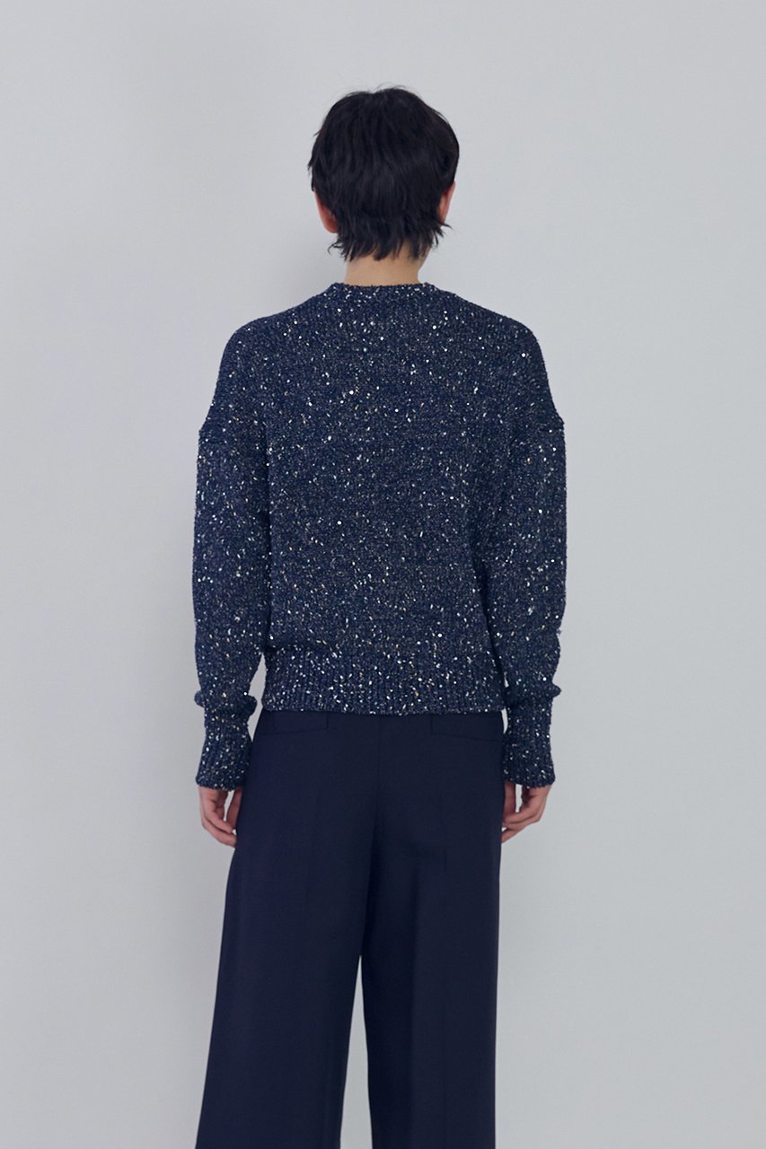 【プルミエ アロンディスモン/1er Arrondissement】のラメノットスパンコールニットプルオーバー 人気、トレンドファッション・服の通販 founy(ファニー) 　ファッション　Fashion　レディースファッション　Fashion for Women　トップス・カットソー　Cut & Sew Tops　ニット　Knit Tops & Sweaters　カジュアルプルオーバー・ニットトップス　Pullovers & Knit Tops / Casual Pullovers　2026年　2026　コンパクト　Compact, Small Size　スパンコール　Sequins, Sequin Embellishment　夏　Summer　春　Spring　S/S・春夏　SS, Spring/Summer, Warm Season　other-6|ID: prp329100004843175 ipo3291000000035733823