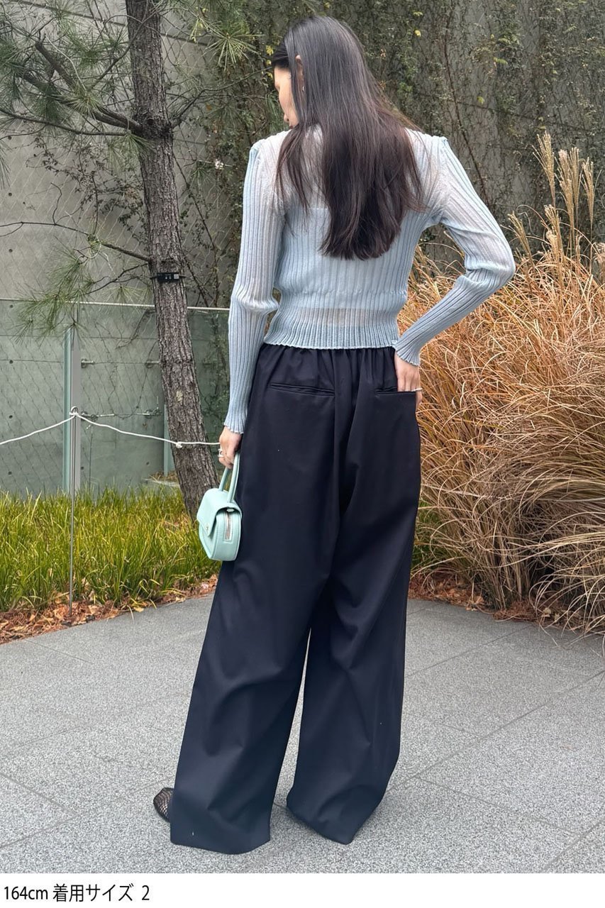 【スタニングルアー/STUNNING LURE】のギャザーイージーワイドパンツ 人気、トレンドファッション・服の通販 founy(ファニー) 　ファッション　Fashion　レディースファッション　Fashion for Women　パンツ　Pants & Trousers　2026年　2026　ギャザー　Gathered, Ruffled　シンプル　Simple, Minimal　フォーマル　Formal, Dressy　リラックス　Relax, Relaxed Fit　エレガント 上品　Elegant　夏　Summer　春　Spring　S/S・春夏　SS, Spring/Summer, Warm Season　other-6|ID: prp329100004845479 ipo3291000000035335089