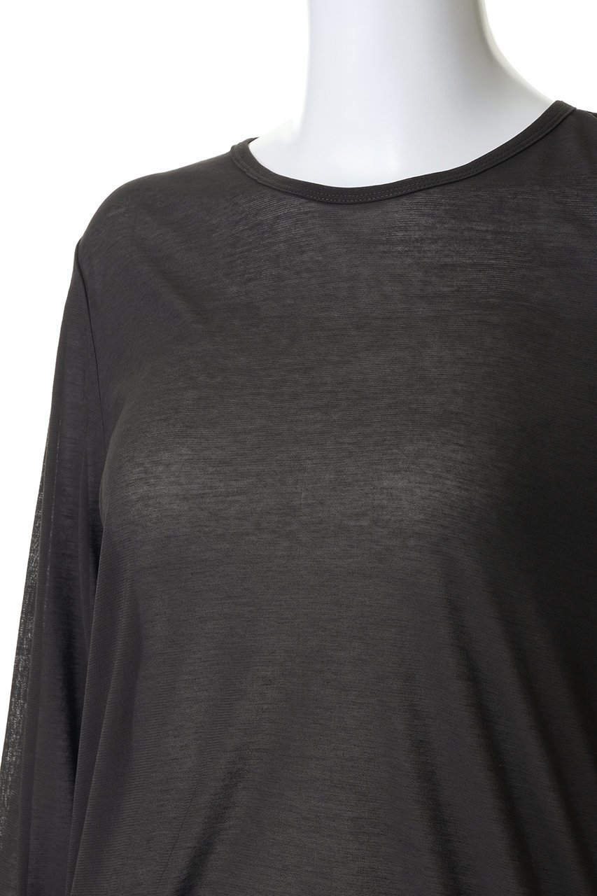 【ハー/HER.】のシアーカットソー 人気、トレンドファッション・服の通販 founy(ファニー) 　ファッション　Fashion　レディースファッション　Fashion for Women　トップス・カットソー　Cut & Sew Tops　シャツ・ブラウス・オフィスカジュアル　Elegant Blouses & Button-Ups　ロングTシャツ・Tシャツ　Longline T-Shirts & Tees　カットソー・ベーシックTシャツ　Cut-and-Sewn Tops / Stretch Tees & Basics　インナー　Innerwear　スリーブ　Sleeve, Long Sleeve / Short Sleeve　ベーシック　Basic, Essential　ロング　Long, Long-Length　春　Spring　other-5|ID: prp329100004845485 ipo3291000000036130739