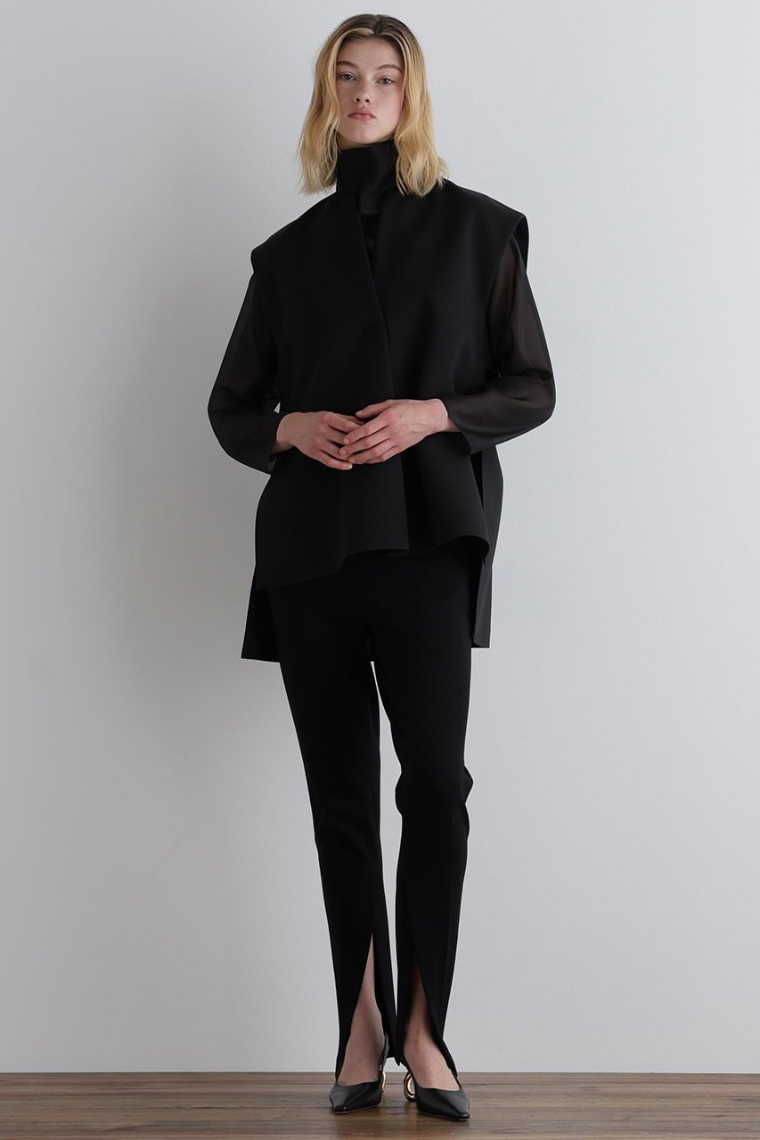 【ル フィル/LE PHIL】のハイネックシアーボイルブラウス 人気、トレンドファッション・服の通販 founy(ファニー) 　ファッション　Fashion　レディースファッション　Fashion for Women　トップス・カットソー　Cut & Sew Tops　シャツ・ブラウス・オフィスカジュアル　Elegant Blouses & Button-Ups　2026年　2026　インナー　Innerwear　シアー　Sheer, See-Through　ジャケット　Jacket, Outerwear　スリーブ　Sleeve, Long Sleeve / Short Sleeve　ハイネック　High Neck, Mock Neck　パターン　Pattern, Design Print　ロング　Long, Long-Length　夏　Summer　春　Spring　S/S・春夏　SS, Spring/Summer, Warm Season　other-4|ID: prp329100004847246 ipo3291000000035404079