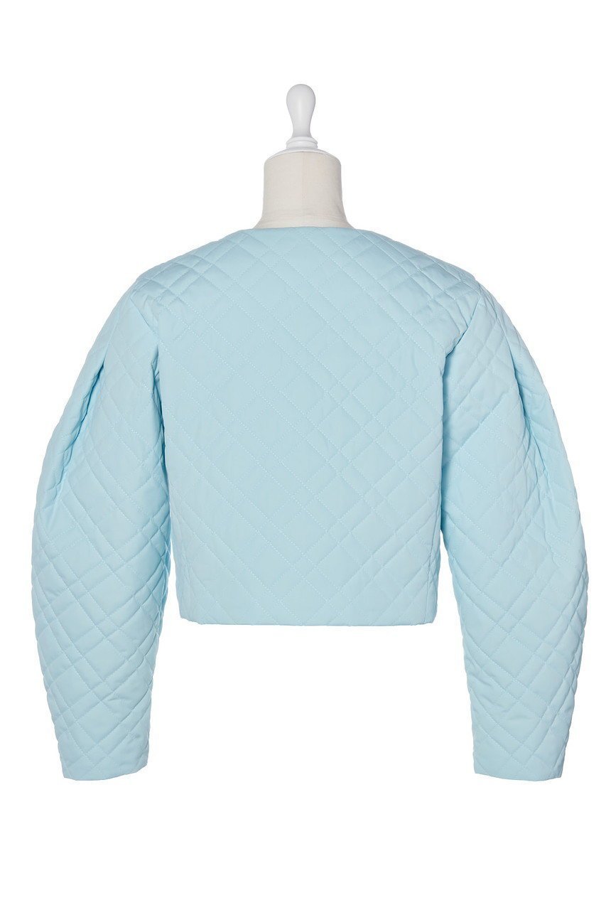 【デイジーリン/DAISY LIN】のキルティングジャケット “Cocoon Sleeve” 人気、トレンドファッション・服の通販 founy(ファニー) 　ファッション　Fashion　レディースファッション　Fashion for Women　アウター　Coat / Outerwear Collection　レディースジャケット・軽アウター　Jackets　エレガント 上品　Elegant　キルティング　Quilted, Quilting　コンパクト　Compact, Small Size　シンプル　Simple, Minimal　ジャケット　Jacket, Outerwear　バランス　Balance, Style Balance　フロント　Front, Front Design　ボトム　Bottoms, Lower Wear　メタル　Metal, Metal Parts　冬　Winter / This Winter　新作・新入荷　New Arrivals / New In　other-2|ID: prp329100004847740 ipo3291000000035420289