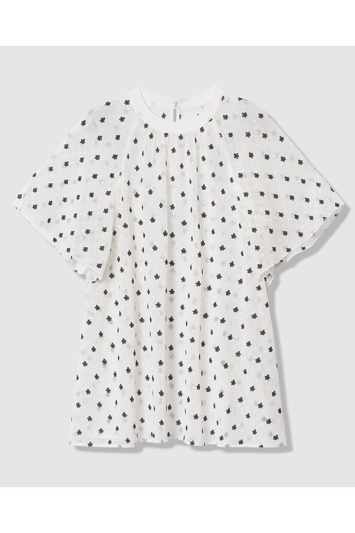 【アナイ/ANAYI】のフラワー刺繍ドットスリット ブラウス インテリア・キッズ・メンズ・レディースファッション・服の通販 founy(ファニー) https://founy.com/ ファッション Fashion レディースファッション Fashion for Women トップス・カットソー Cut & Sew Tops シャツ・ブラウス・オフィスカジュアル Elegant Blouses & Button-Ups 2026年 2026 シアー Sheer, See-Through ショート Short, Short Length スリット Slit, Slit Detail スリーブ Sleeve, Long Sleeve / Short Sleeve ドット Polka Dot, Dot Pattern フェミニン Feminine, Girly フラワー Flower, Floral フレア Flare, Flared 夏 Summer 春 Spring S/S・春夏 SS, Spring/Summer, Warm Season |ID: prp329100004848482 ipo3291000000035444574