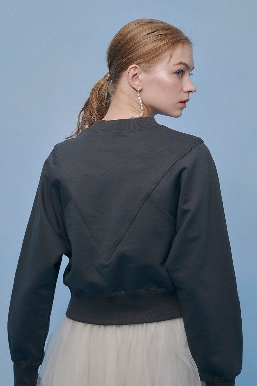 【アルアバイル/allureville】の【LOULOU WILLOUGHBY】Vキリカエトレーナー 人気、トレンドファッション・服の通販 founy(ファニー) 　ファッション　Fashion　レディースファッション　Fashion for Women　トップス・カットソー　Cut & Sew Tops　キャミソール&ノースリーブ　Camisoles & Sleeveless Tops　シャツ・ブラウス・オフィスカジュアル　Elegant Blouses & Button-Ups　ロングTシャツ・Tシャツ　Longline T-Shirts & Tees　カットソー・ベーシックTシャツ　Cut-and-Sewn Tops / Stretch Tees & Basics　おすすめ　Recommended / Our Picks　キャミソール　Camisole, Spaghetti Strap Top　スリーブ　Sleeve, Long Sleeve / Short Sleeve　タンク　Tank Top, Sleeveless Top　トレーナー　Sweatshirt, Trainer　プリント　Print, Printed Pattern　ミックス　Mix, Mixed Style　other-6|ID: prp329100004849156 ipo3291000000035998469