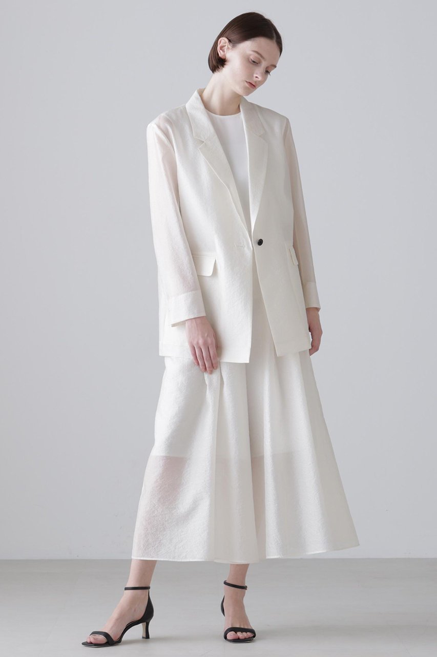 【アドーア/ADORE】のシルキーオーガンザパンツ 人気、トレンドファッション・服の通販 founy(ファニー) 　ファッション　Fashion　レディースファッション　Fashion for Women　パンツ　Pants & Trousers　オーガンジー　Organza Fabric　シンプル　Simple, Minimal　スリット　Slit, Slit Detail　other-2|ID: prp329100004849166 ipo3291000000035853807