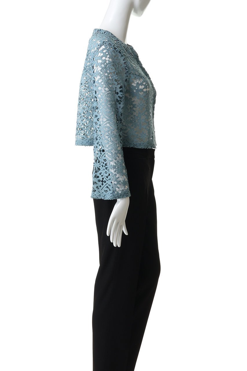 【ランバン オン ブルー/LANVIN en Bleu】のケミカルレースノーカラージャケット 人気、トレンドファッション・服の通販 founy(ファニー) 　ファッション　Fashion　レディースファッション　Fashion for Women　アウター　Coat / Outerwear Collection　レディースジャケット・軽アウター　Jackets　ノーカラージャケット / シンプル上品コーデ　Collarless Jackets　ケミカル　Chemical, Chemical Wash　ショート　Short, Short Length　ジャケット　Jacket, Outerwear　スリーブ　Sleeve, Long Sleeve / Short Sleeve　センター　Center, Center Line　フレア　Flare, Flared　マキシ　Maxi, Full Length　レース　Lace, Lace Fabric　エレガント 上品　Elegant　other-3|ID: prp329100004849326 ipo3291000000035955513