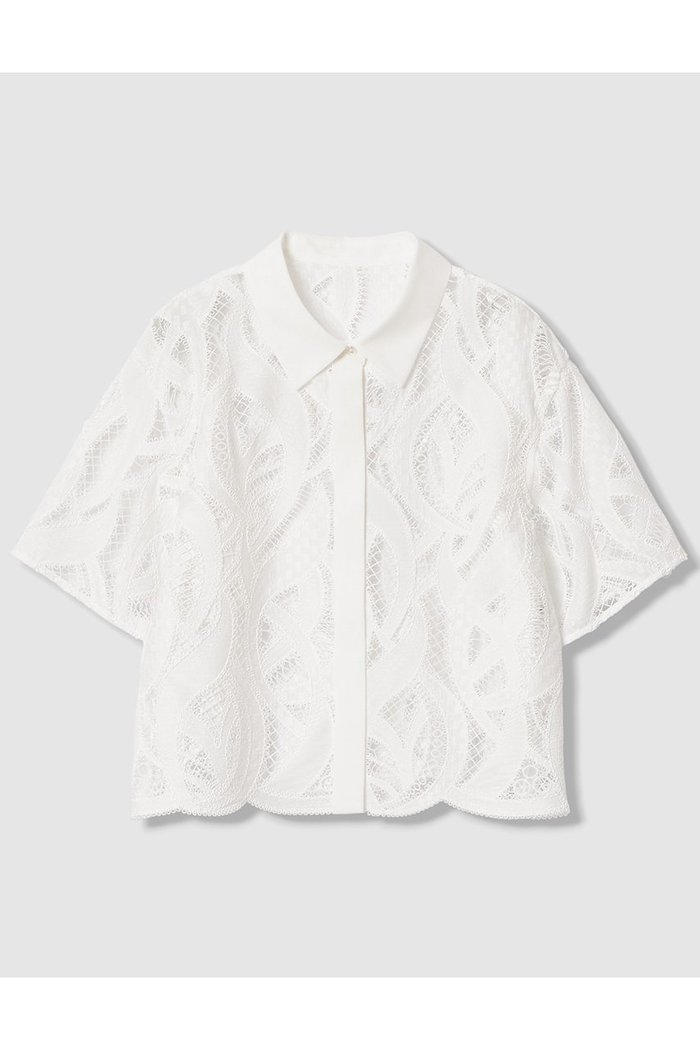 【アナイ/ANAYI】の【セットアップ対象商品】リーフコード刺繍半袖 ブラウス インテリア・キッズ・メンズ・レディースファッション・服の通販 founy(ファニー) https://founy.com/ ファッション Fashion レディースファッション Fashion for Women トップス・カットソー Cut & Sew Tops シャツ・ブラウス・オフィスカジュアル Elegant Blouses & Button-Ups 2026年 2026 おすすめ Recommended / Our Picks エンブロイダリー Embroidery Design ショート Short, Short Length スリーブ Sleeve, Long Sleeve / Short Sleeve セットアップ Set-Up, Coordinated Outfit バランス Balance, Style Balance モチーフ Motif, Design Theme リーフ Leaf, Botanical Leaf 半袖 Short Sleeve, Half Sleeve 夏 Summer 春 Spring S/S・春夏 SS, Spring/Summer, Warm Season 無地 Plain, Solid Color |ID: prp329100004851055 ipo3291000000035568124