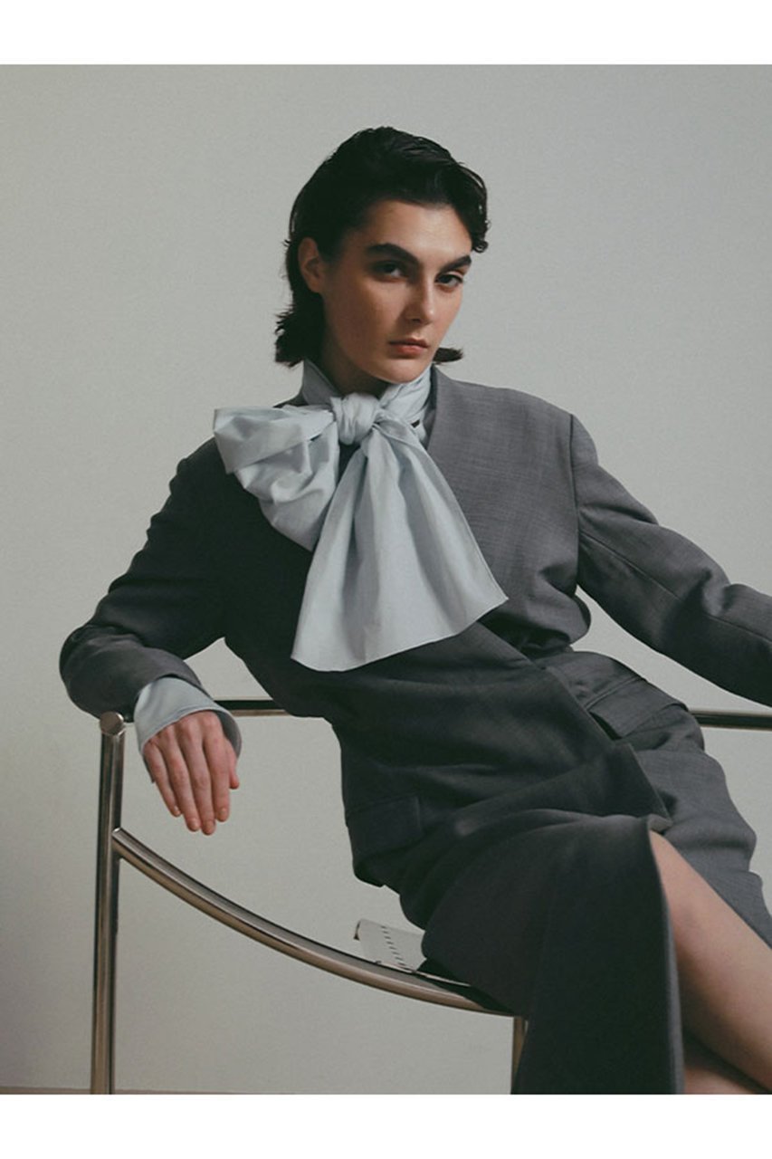 【エトレトウキョウ/ETRE TOKYO】の【SANTE】ボウタイリボンシャツ 人気、トレンドファッション・服の通販 founy(ファニー) 　ファッション　Fashion　レディースファッション　Fashion for Women　トップス・カットソー　Cut & Sew Tops　シャツ・ブラウス・オフィスカジュアル　Elegant Blouses & Button-Ups　2026年　2026　なめらか　Smooth, Silky Texture　オケージョン　Occasion Wear　カフス　Cuff Design　シルク　Silk, 100% Silk　ジャケット　Jacket, Outerwear　スリーブ　Sleeve, Long Sleeve / Short Sleeve　セットアップ　Set-Up, Coordinated Outfit　セレモニー　Ceremony　ダブル　Double, Double-Breasted　フォーマル　Formal, Dressy　リボン　Ribbon, Bow　ループ　Loop, Loop Knit　ロング　Long, Long-Length　エレガント 上品　Elegant　夏　Summer　春　Spring　S/S・春夏　SS, Spring/Summer, Warm Season　other-3|ID: prp329100004851881 ipo3291000000035609871