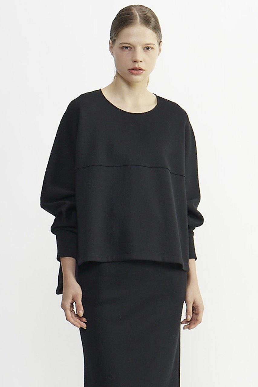 【プレインピープル/PLAIN PEOPLE】のコットンナイロンダブルスウェットプルオーバー 人気、トレンドファッション・服の通販 founy(ファニー) 　ファッション　Fashion　レディースファッション　Fashion for Women　トップス・カットソー　Cut & Sew Tops　シャツ・ブラウス・オフィスカジュアル　Elegant Blouses & Button-Ups　レディースパーカー・カジュアルフーディー　Casual Hoodies & Sweatshirts　ロングTシャツ・Tシャツ　Longline T-Shirts & Tees　カジュアルプルオーバー・ニットトップス　Pullovers & Knit Tops / Casual Pullovers　スウェット・クルーネックトップス　Sweatshirts & Crewnecks / Relaxed Fit Sweat Tops　カットソー・ベーシックTシャツ　Cut-and-Sewn Tops / Stretch Tees & Basics　スリーブ　Sleeve, Long Sleeve / Short Sleeve　ラウンド　Round, Round Neck　ロング　Long, Long-Length　再入荷　Restock / Back in Stock　 other-1|ID: prp329100004857489 ipo3291000000035855969