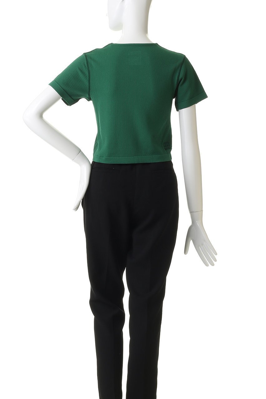 【ザ ノース フェイス/THE NORTH FACE】のGARリブショートスリーブTシャツ 人気、トレンドファッション・服の通販 founy(ファニー) 　ファッション　Fashion　レディースファッション　Fashion for Women　トップス・カットソー　Cut & Sew Tops　シャツ・ブラウス・オフィスカジュアル　Elegant Blouses & Button-Ups　ロングTシャツ・Tシャツ　Longline T-Shirts & Tees　スポーツウェア　Functional & Stylish Sportswear　スポーツ トップス　Athletic Tops / Workout Tops / Training Shirts　2026年　2026　ショート　Short, Short Length　ストレッチ　Stretch, Stretchy Fabric　スポーツ　Sports, Activewear　スリーブ　Sleeve, Long Sleeve / Short Sleeve　フィット　Fit, Slim Fit　夏　Summer　春　Spring　S/S・春夏　SS, Spring/Summer, Warm Season　other-4|ID: prp329100004857865 ipo3291000000035876606