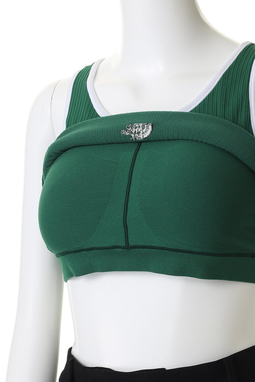 【ザ ノース フェイス/THE NORTH FACE】のGARリブブラタンク 人気、トレンドファッション・服の通販 founy(ファニー) 　ファッション　Fashion　レディースファッション　Fashion for Women　トップス・カットソー　Cut & Sew Tops　スポーツウェア　Functional & Stylish Sportswear　スポーツ トップス　Athletic Tops / Workout Tops / Training Shirts　2026年　2026　ストレッチ　Stretch, Stretchy Fabric　スポーツ　Sports, Activewear　タンク　Tank Top, Sleeveless Top　フィット　Fit, Slim Fit　夏　Summer　春　Spring　S/S・春夏　SS, Spring/Summer, Warm Season　other-6|ID: prp329100004857866 ipo3291000000035876618