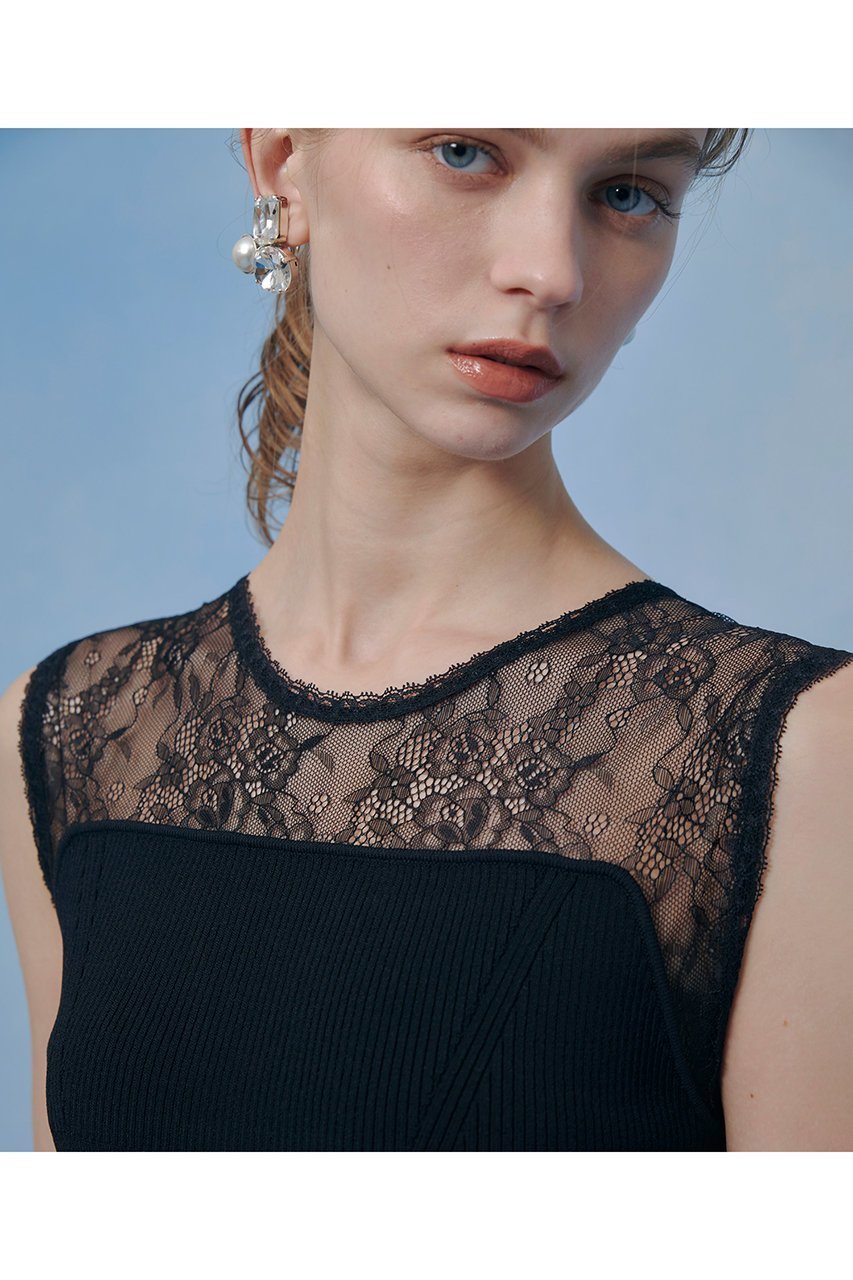 【アルアバイル/allureville】の【LOULOU WILLOUGHBY】レーシィビスチェプルオーバー 人気、トレンドファッション・服の通販 founy(ファニー) 　ファッション　Fashion　レディースファッション　Fashion for Women　トップス・カットソー　Cut & Sew Tops　ニット　Knit Tops & Sweaters　カジュアルプルオーバー・ニットトップス　Pullovers & Knit Tops / Casual Pullovers　ビスチェ　Bustiers & Corset Tops / Layered Bustier Style　2026年　2026　インナー　Innerwear　ジャケット　Jacket, Outerwear　デコルテ　Décolleté, Neckline　レース　Lace, Lace Fabric　夏　Summer　春　Spring　S/S・春夏　SS, Spring/Summer, Warm Season　other-2|ID: prp329100004857922 ipo3291000000035877097