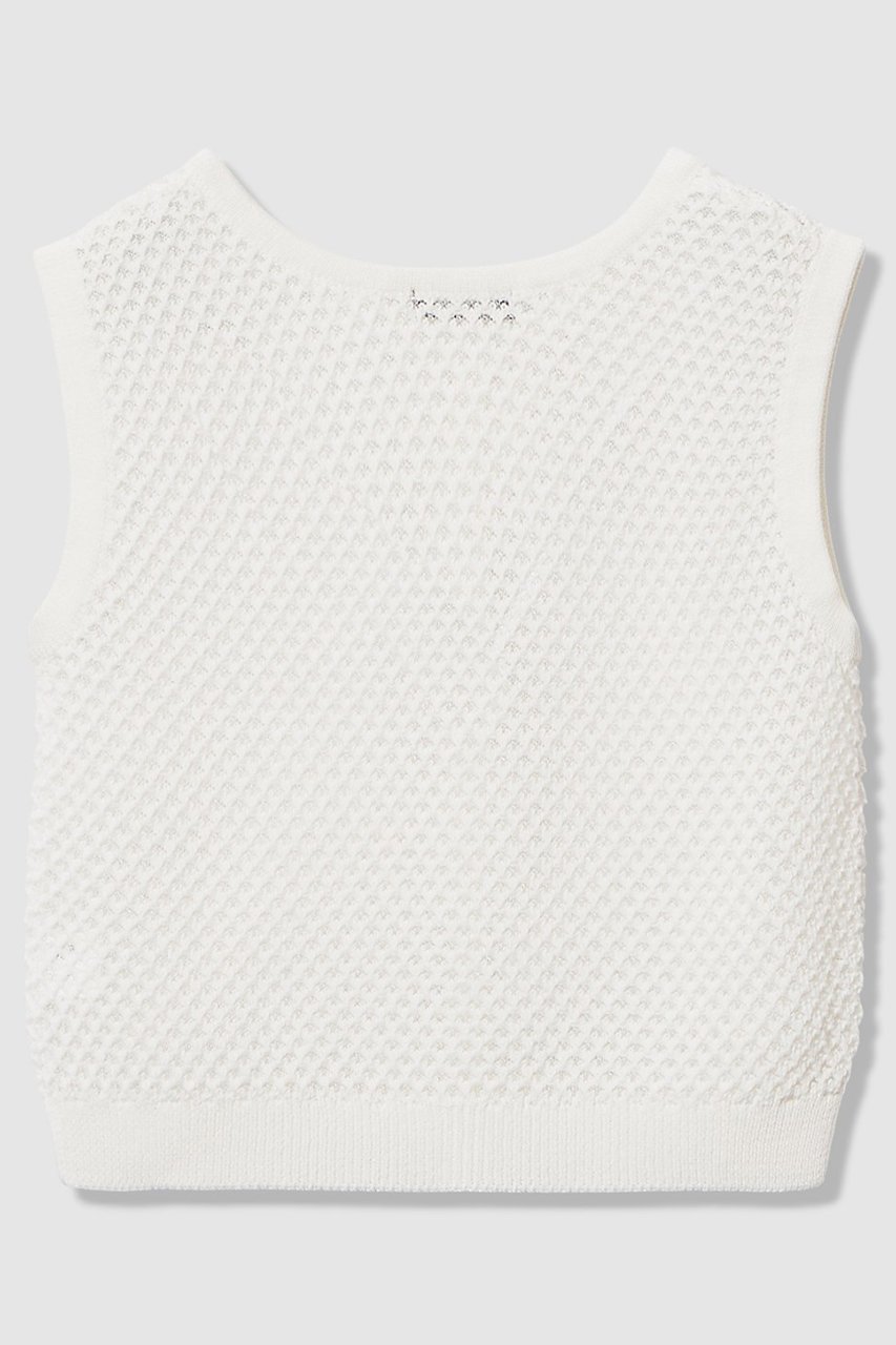 【アルアバイル/allureville】の透かし編みジレプルオーバー 人気、トレンドファッション・服の通販 founy(ファニー) 　ファッション　Fashion　レディースファッション　Fashion for Women　トップス・カットソー　Cut & Sew Tops　ニット　Knit Tops & Sweaters　ベスト&ジレ / 重ね着スタイル　Vests & Gilets　カジュアルプルオーバー・ニットトップス　Pullovers & Knit Tops / Casual Pullovers　2026年　2026　おすすめ　Recommended / Our Picks　インナー　Innerwear　タンク　Tank Top, Sleeveless Top　テクスチャー　Texture, Textured Fabric　メッシュ　Mesh, Net Fabric　夏　Summer　春　Spring　S/S・春夏　SS, Spring/Summer, Warm Season　other-2|ID: prp329100004857929 ipo3291000000035877155