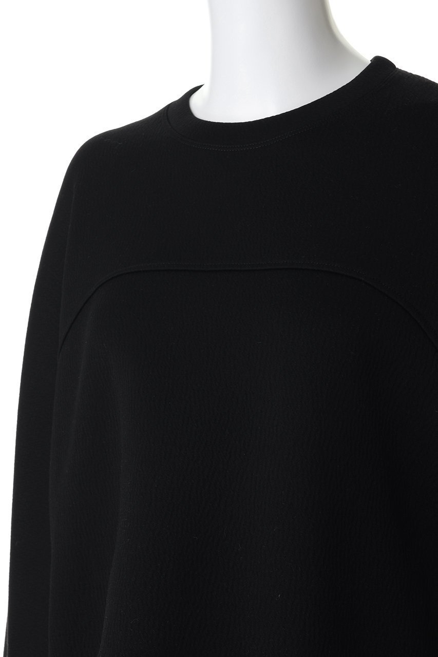 【プレインピープル/PLAIN PEOPLE】のビッグシルエットプルオーバー 人気、トレンドファッション・服の通販 founy(ファニー) 　ファッション　Fashion　レディースファッション　Fashion for Women　トップス・カットソー　Cut & Sew Tops　シャツ・ブラウス・オフィスカジュアル　Elegant Blouses & Button-Ups　ロングTシャツ・Tシャツ　Longline T-Shirts & Tees　カジュアルプルオーバー・ニットトップス　Pullovers & Knit Tops / Casual Pullovers　カットソー・ベーシックTシャツ　Cut-and-Sewn Tops / Stretch Tees & Basics　2026年　2026　ショート　Short, Short Length　スリーブ　Sleeve, Long Sleeve / Short Sleeve　バランス　Balance, Style Balance　ヘムライン　Hemline, Bottom Cut　ロング　Long, Long-Length　ワイド　Wide, Wide Fit　夏　Summer　春　Spring　S/S・春夏　SS, Spring/Summer, Warm Season　other-5|ID: prp329100004858350 ipo3291000000035908293