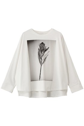 【プレインピープル/PLAIN PEOPLE】のコットングラフィックTシャツ 人気、トレンドファッション・服の通販 founy(ファニー) ファッション Fashion レディースファッション Fashion for Women トップス・カットソー Cut & Sew Tops シャツ・ブラウス・オフィスカジュアル Elegant Blouses & Button-Ups ロングTシャツ・Tシャツ Longline T-Shirts & Tees カットソー・ベーシックTシャツ Cut-and-Sewn Tops / Stretch Tees & Basics 2026年 2026 グラフィック Graphic, Graphic Design スリット Slit, Slit Detail スリーブ Sleeve, Long Sleeve / Short Sleeve フロント Front, Front Design モノトーン Monotone, Black and White ロング Long, Long-Length ワイド Wide, Wide Fit 夏 Summer 春 Spring S/S・春夏 SS, Spring/Summer, Warm Season |ID:prp329100004858351