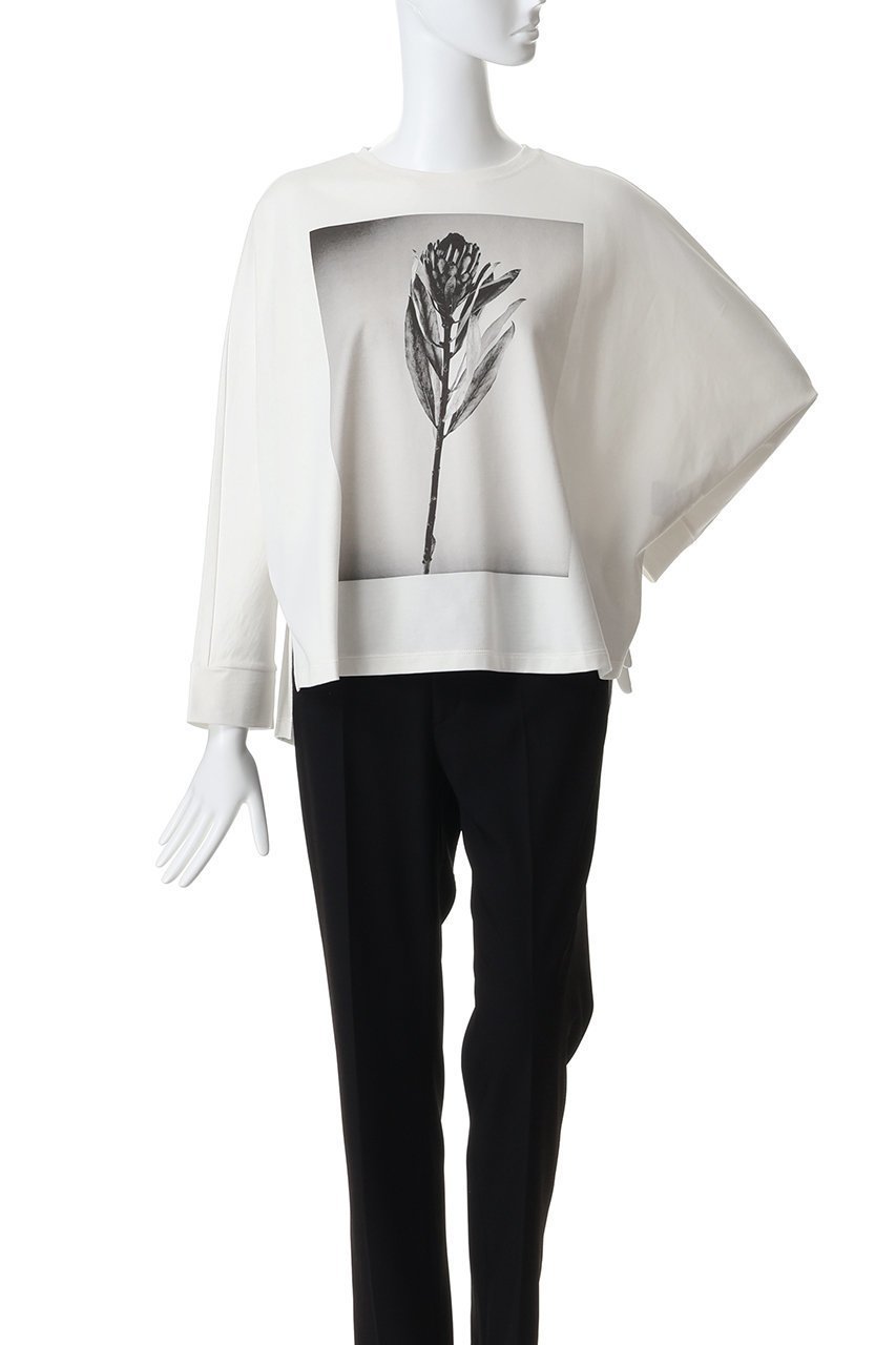 【プレインピープル/PLAIN PEOPLE】のコットングラフィックTシャツ 人気、トレンドファッション・服の通販 founy(ファニー) 　ファッション　Fashion　レディースファッション　Fashion for Women　トップス・カットソー　Cut & Sew Tops　シャツ・ブラウス・オフィスカジュアル　Elegant Blouses & Button-Ups　ロングTシャツ・Tシャツ　Longline T-Shirts & Tees　カットソー・ベーシックTシャツ　Cut-and-Sewn Tops / Stretch Tees & Basics　2026年　2026　グラフィック　Graphic, Graphic Design　スリット　Slit, Slit Detail　スリーブ　Sleeve, Long Sleeve / Short Sleeve　フロント　Front, Front Design　モノトーン　Monotone, Black and White　ロング　Long, Long-Length　ワイド　Wide, Wide Fit　夏　Summer　春　Spring　S/S・春夏　SS, Spring/Summer, Warm Season　other-2|ID: prp329100004858351 ipo3291000000035908296