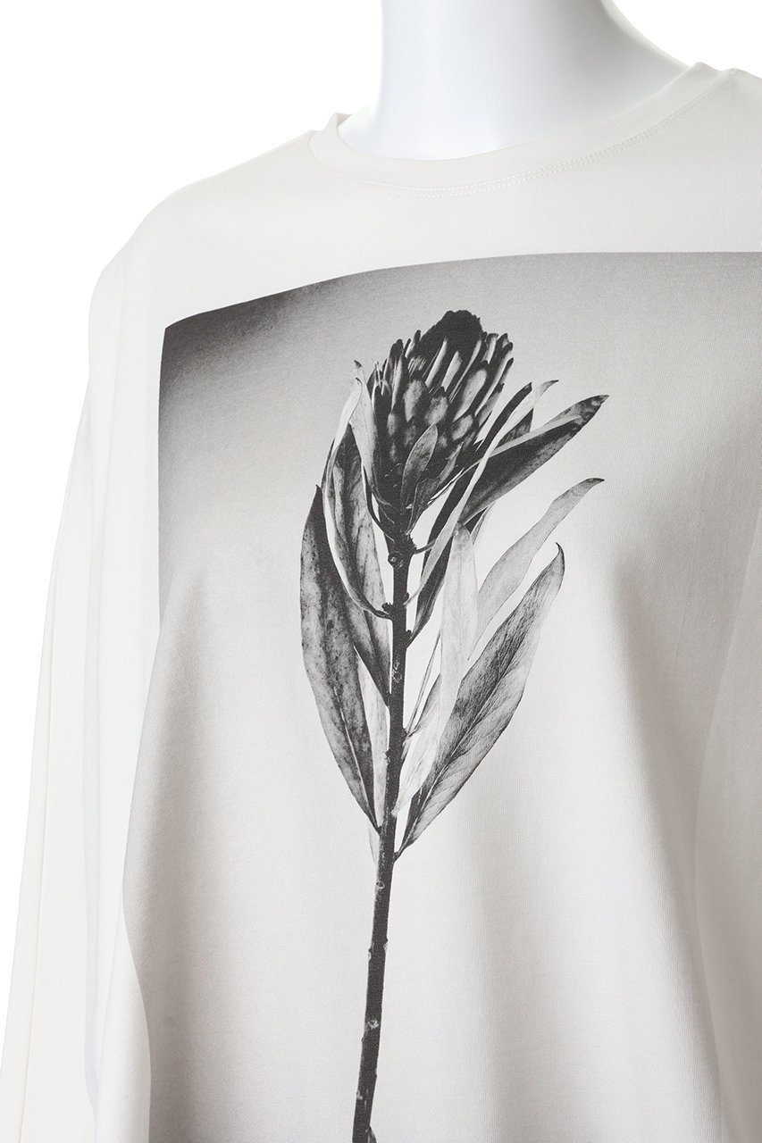 【プレインピープル/PLAIN PEOPLE】のコットングラフィックTシャツ 人気、トレンドファッション・服の通販 founy(ファニー) 　ファッション　Fashion　レディースファッション　Fashion for Women　トップス・カットソー　Cut & Sew Tops　シャツ・ブラウス・オフィスカジュアル　Elegant Blouses & Button-Ups　ロングTシャツ・Tシャツ　Longline T-Shirts & Tees　カットソー・ベーシックTシャツ　Cut-and-Sewn Tops / Stretch Tees & Basics　2026年　2026　グラフィック　Graphic, Graphic Design　スリット　Slit, Slit Detail　スリーブ　Sleeve, Long Sleeve / Short Sleeve　フロント　Front, Front Design　モノトーン　Monotone, Black and White　ロング　Long, Long-Length　ワイド　Wide, Wide Fit　夏　Summer　春　Spring　S/S・春夏　SS, Spring/Summer, Warm Season　other-5|ID: prp329100004858351 ipo3291000000035908299