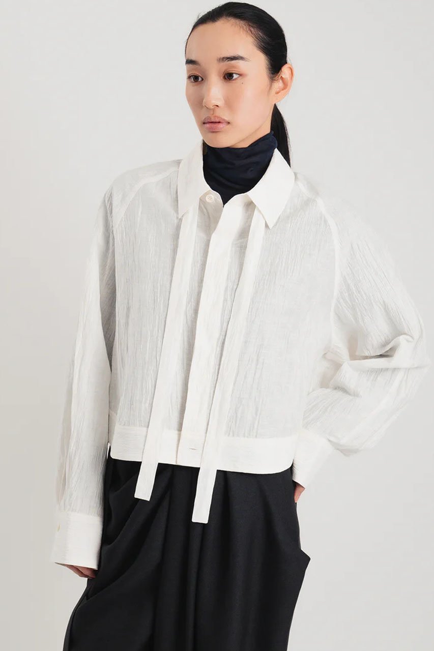 【スタニングルアー/STUNNING LURE】のボウタイシャツ 人気、トレンドファッション・服の通販 founy(ファニー) 　ファッション　Fashion　レディースファッション　Fashion for Women　トップス・カットソー　Cut & Sew Tops　シャツ・ブラウス・オフィスカジュアル　Elegant Blouses & Button-Ups　2026年　2026　クロップド　Cropped, Short Length　スリーブ　Sleeve, Long Sleeve / Short Sleeve　リネン　Linen, Linen Fabric　ロング　Long, Long-Length　夏　Summer　春　Spring　S/S・春夏　SS, Spring/Summer, Warm Season　other-6|ID: prp329100004859580 ipo3291000000035955347