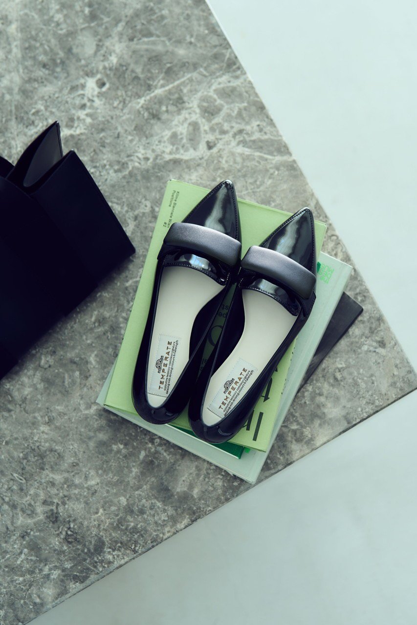 【テンパレイト/TEMPERATE】のSOPHIE ポインテッド スリッポン(レイン対応) 人気、トレンドファッション・服の通販 founy(ファニー) 　ファッション　Fashion　レディースファッション　Fashion for Women　春　Spring　クッション　Cushion, Throw Pillow　抗菌　Antibacterial, Bacteria-Resistant　シューズ　Shoes, Footwear　スリッポン　Slip-On, Loafer　バランス　Balance, Style Balance　フェミニン　Feminine, Girly　フォルム　Silhouette, Form　ポインテッド　Pointed Toe, Sharp Toe　ラバー　Rubber, Rubber Sole　レイン　Rain, Rainproof　S/S・春夏　SS, Spring/Summer, Warm Season　夏　Summer　2026年　2026　other-2|ID: prp329100004860767 ipo3291000000035999614