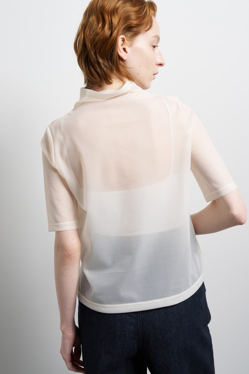 【ランバン オン ブルー/LANVIN en Bleu】のシアーハーフスリーブカットソー 人気、トレンドファッション・服の通販 founy(ファニー) ファッション Fashion レディースファッション Fashion for Women トップス・カットソー Cut & Sew Tops シャツ・ブラウス・オフィスカジュアル Elegant Blouses & Button-Ups ロングTシャツ・Tシャツ Longline T-Shirts & Tees カットソー・ベーシックTシャツ Cut-and-Sewn Tops / Stretch Tees & Basics 2026年 2026 ショート Short, Short Length シンプル Simple, Minimal ジョーゼット Georgette, Semi-Sheer Fabric スリット Slit, Slit Detail スリーブ Sleeve, Long Sleeve / Short Sleeve ドレープ Drape, Draping Fabric ハイネック High Neck, Mock Neck ファブリック Fabric, Textile エレガント 上品 Elegant 夏 Summer 春 Spring S/S・春夏 SS, Spring/Summer, Warm Season other-3|ID: prp329100004861126 ipo3291000000036008133