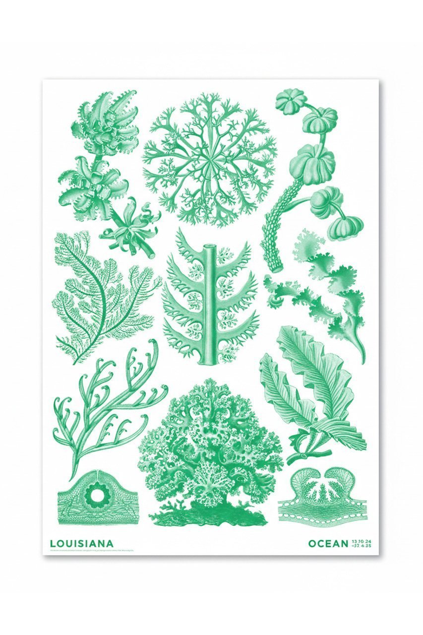 【その他のブランド/Other】の【ポスター】ヘッケル/Florideae Ocean green (2024)【メーカー取り寄せ】 インテリア・キッズ・メンズ・レディースファッション・服の通販 founy(ファニー) 　新作・新入荷　New Arrivals / New In　-|ID: prp329100004862918 ipo3291000000036145593