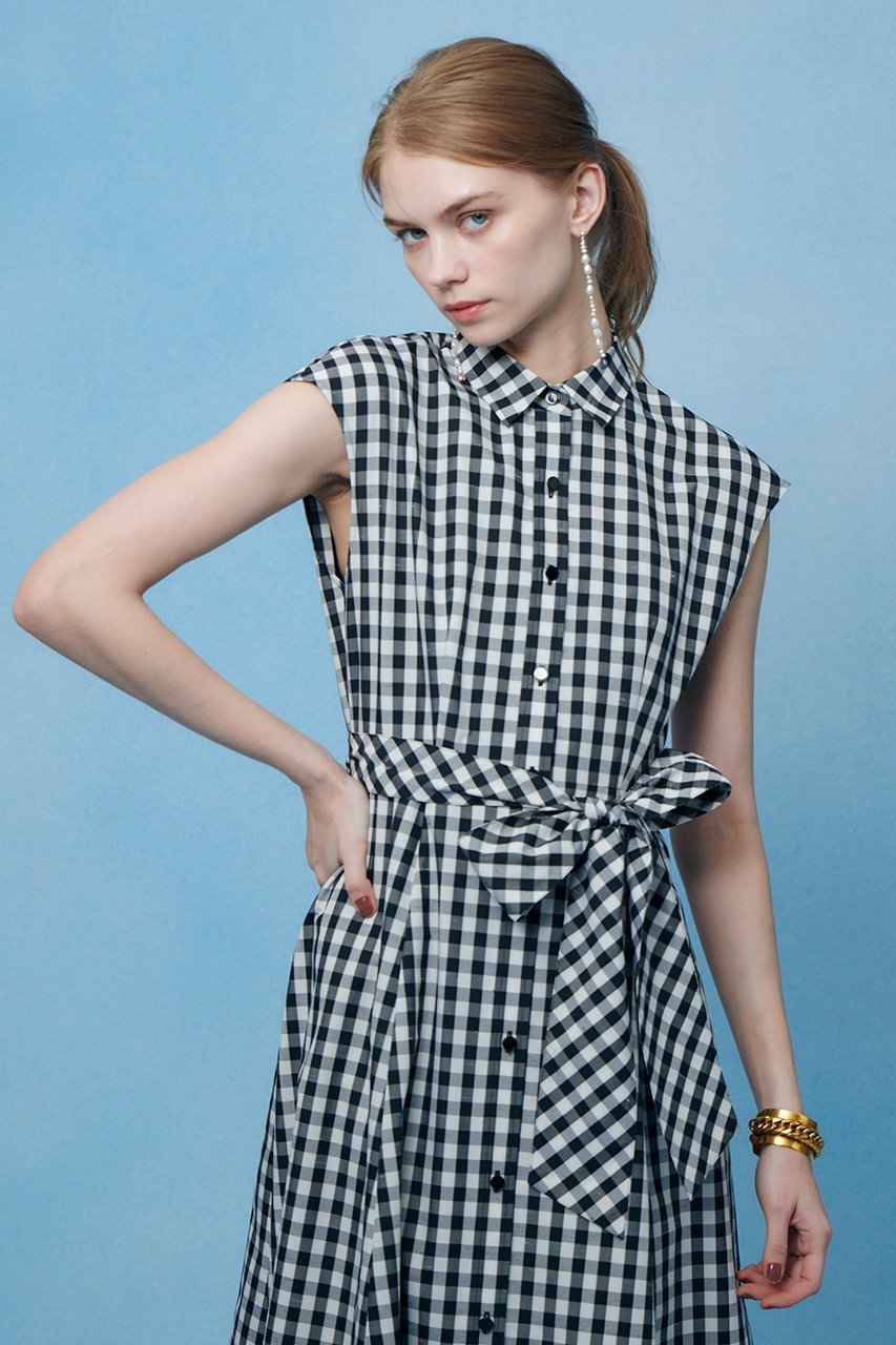 【アルアバイル/allureville】の【LOULOU WILLOUGHBY】スラブギンガムシャツワンピース 人気、トレンドファッション・服の通販 founy(ファニー) ファッション Fashion レディースファッション Fashion for Women ワンピース Dresses シャツワンピース / 1枚で着映えコーデ Shirt Dresses チュニック Tunic Tops & Dresses 2026年 2026 ギンガム Gingham, Gingham Fabric シルク Silk, 100% Silk スリーブ Sleeve, Long Sleeve / Short Sleeve チェック Check, Plaid, Tartan チュニック Tunic, Long Top バイアス Bias, Diagonal Cut フィット Fit, Slim Fit フレア Flare, Flared フレンチ French, French Style ブロック Block, Solid Block Pattern モノトーン Monotone, Black and White リボン Ribbon, Bow ロング Long, Long-Length エレガント 上品 Elegant 夏 Summer 春 Spring S/S・春夏 SS, Spring/Summer, Warm Season other-8|ID: prp329100004866299 ipo3291000000036233102