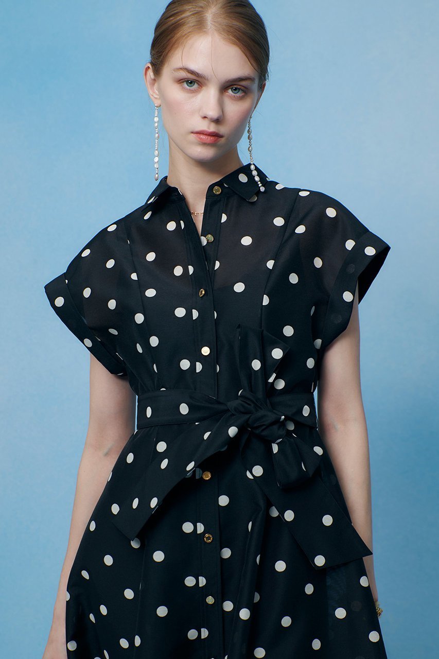 【アルアバイル/allureville】の【LOULOU WILLOUGHBY】オーガンドットワンピース 人気、トレンドファッション・服の通販 founy(ファニー) 　ファッション　Fashion　レディースファッション　Fashion for Women　ワンピース　Dresses　チュニック　Tunic Tops & Dresses　2026年　2026　オーガンジー　Organza Fabric　チュニック　Tunic, Long Top　ドット　Polka Dot, Dot Pattern　フィット　Fit, Slim Fit　フレア　Flare, Flared　プリント　Print, Printed Pattern　リボン　Ribbon, Bow　ロング　Long, Long-Length　エレガント 上品　Elegant　夏　Summer　春　Spring　S/S・春夏　SS, Spring/Summer, Warm Season　other-5|ID: prp329100004866306 ipo3291000000036233202