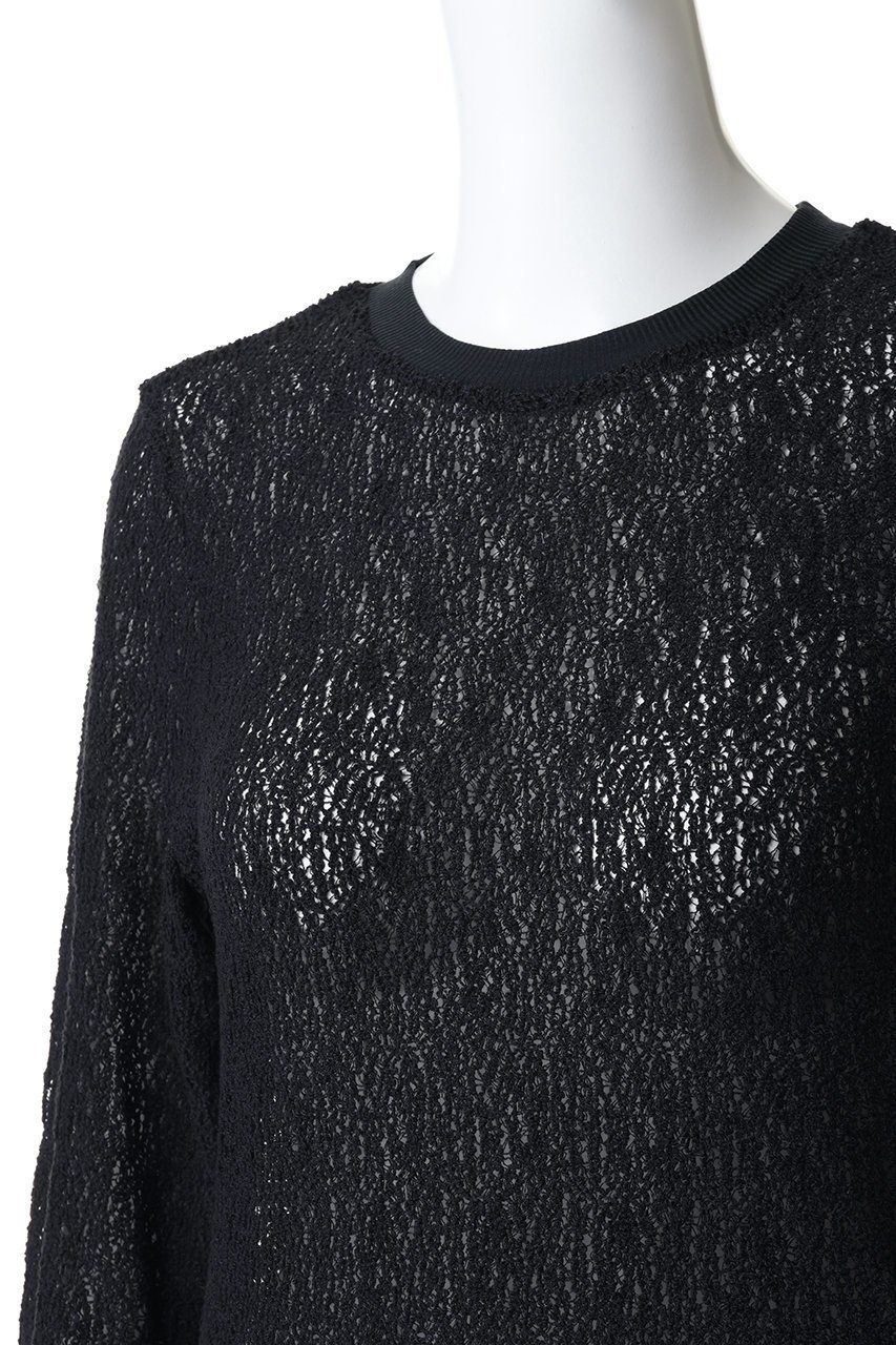 【ミズイロ インド/mizuiro ind】のlace crew neck T shirt シャツ 人気、トレンドファッション・服の通販 founy(ファニー) 　ファッション　Fashion　レディースファッション　Fashion for Women　トップス・カットソー　Cut & Sew Tops　シャツ・ブラウス・オフィスカジュアル　Elegant Blouses & Button-Ups　ロングTシャツ・Tシャツ　Longline T-Shirts & Tees　カットソー・ベーシックTシャツ　Cut-and-Sewn Tops / Stretch Tees & Basics　インナー　Innerwear　シアー　Sheer, See-Through　ジャケット　Jacket, Outerwear　スリーブ　Sleeve, Long Sleeve / Short Sleeve　レース　Lace, Lace Fabric　ロング　Long, Long-Length　夏　Summer　新作・新入荷　New Arrivals / New In　春　Spring　S/S・春夏　SS, Spring/Summer, Warm Season　other-5|ID: prp329100004873556 ipo3291000000036350783