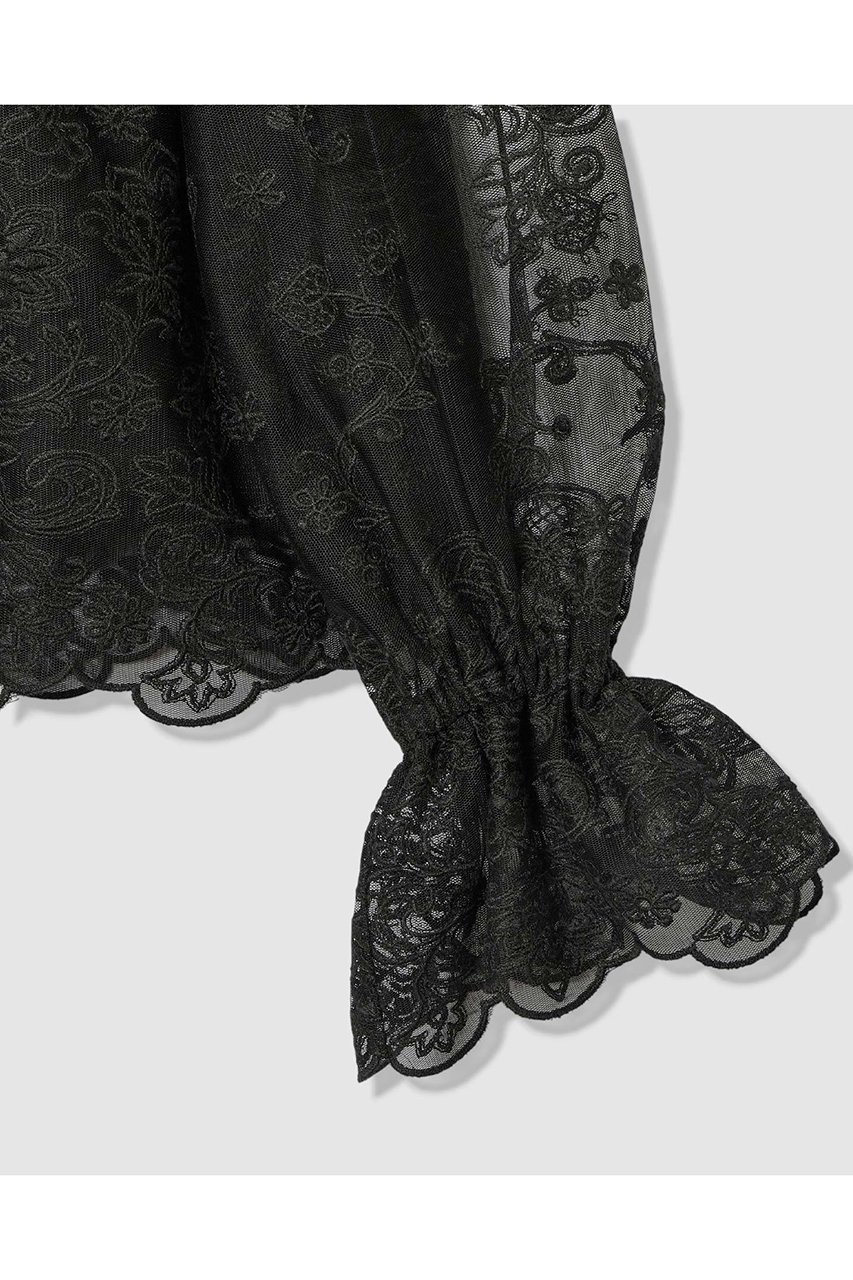 【アナイ/ANAYI】の【Eternal Line 2026】チュール刺繍ベル袖 ブラウス 人気、トレンドファッション・服の通販 founy(ファニー) 　ファッション　Fashion　レディースファッション　Fashion for Women　トップス・カットソー　Cut & Sew Tops　シャツ・ブラウス・オフィスカジュアル　Elegant Blouses & Button-Ups　キャミソール　Camisole, Spaghetti Strap Top　ジャケット　Jacket, Outerwear　スカラップ　Scallop, Scalloped Edge　スリーブ　Sleeve, Long Sleeve / Short Sleeve　チュール　Tulip, Tulip Motif　バランス　Balance, Style Balance　ロング　Long, Long-Length　エレガント 上品　Elegant　無地　Plain, Solid Color　other-4|ID: prp329100004874372 ipo3291000000036357270