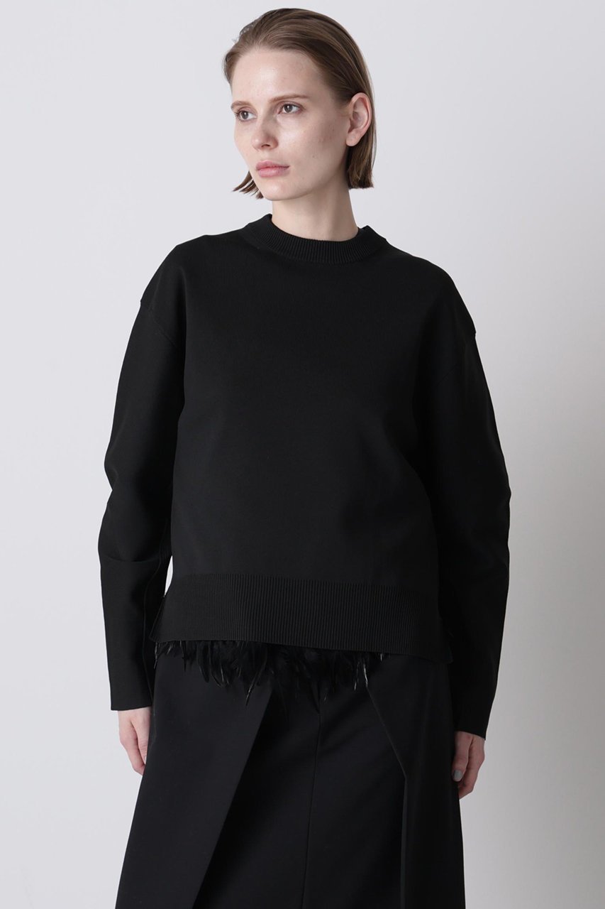 【ヒューエルミュージアム/hueLe Museum】の【hLM】フェザーレイヤードニット インテリア・キッズ・メンズ・レディースファッション・服の通販 founy(ファニー) 　ファッション　Fashion　レディースファッション　Fashion for Women　トップス・カットソー　Cut & Sew Tops　ニット　Knit Tops & Sweaters　カジュアルプルオーバー・ニットトップス　Pullovers & Knit Tops / Casual Pullovers　インナー　Innerwear　エレガント 上品　Elegant　オーガンジー　Organza Fabric　ジャケット　Jacket, Outerwear　フェザー　Feather, Feather Detail　ブラック|ID: prp329100004874841 ipo3291000000036360845