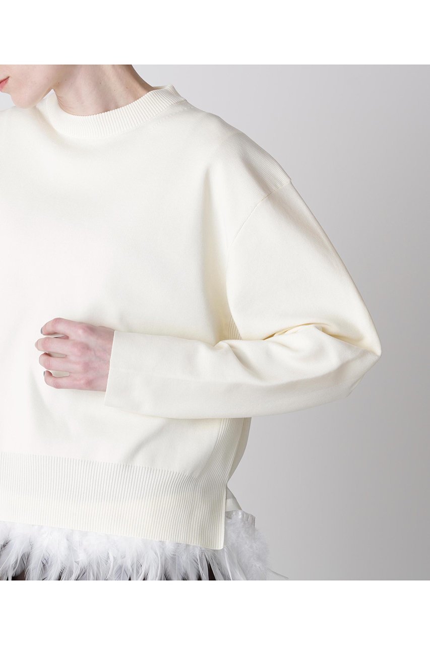 【ヒューエルミュージアム/hueLe Museum】の【hLM】フェザーレイヤードニット 人気、トレンドファッション・服の通販 founy(ファニー) 　ファッション　Fashion　レディースファッション　Fashion for Women　トップス・カットソー　Cut & Sew Tops　ニット　Knit Tops & Sweaters　カジュアルプルオーバー・ニットトップス　Pullovers & Knit Tops / Casual Pullovers　インナー　Innerwear　エレガント 上品　Elegant　オーガンジー　Organza Fabric　ジャケット　Jacket, Outerwear　フェザー　Feather, Feather Detail　other-3|ID: prp329100004874841 ipo3291000000036360847