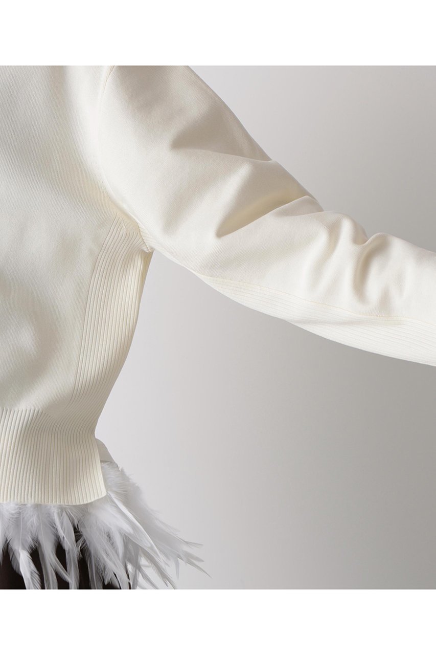 【ヒューエルミュージアム/hueLe Museum】の【hLM】フェザーレイヤードニット 人気、トレンドファッション・服の通販 founy(ファニー) 　ファッション　Fashion　レディースファッション　Fashion for Women　トップス・カットソー　Cut & Sew Tops　ニット　Knit Tops & Sweaters　カジュアルプルオーバー・ニットトップス　Pullovers & Knit Tops / Casual Pullovers　インナー　Innerwear　エレガント 上品　Elegant　オーガンジー　Organza Fabric　ジャケット　Jacket, Outerwear　フェザー　Feather, Feather Detail　other-8|ID: prp329100004874841 ipo3291000000036360852