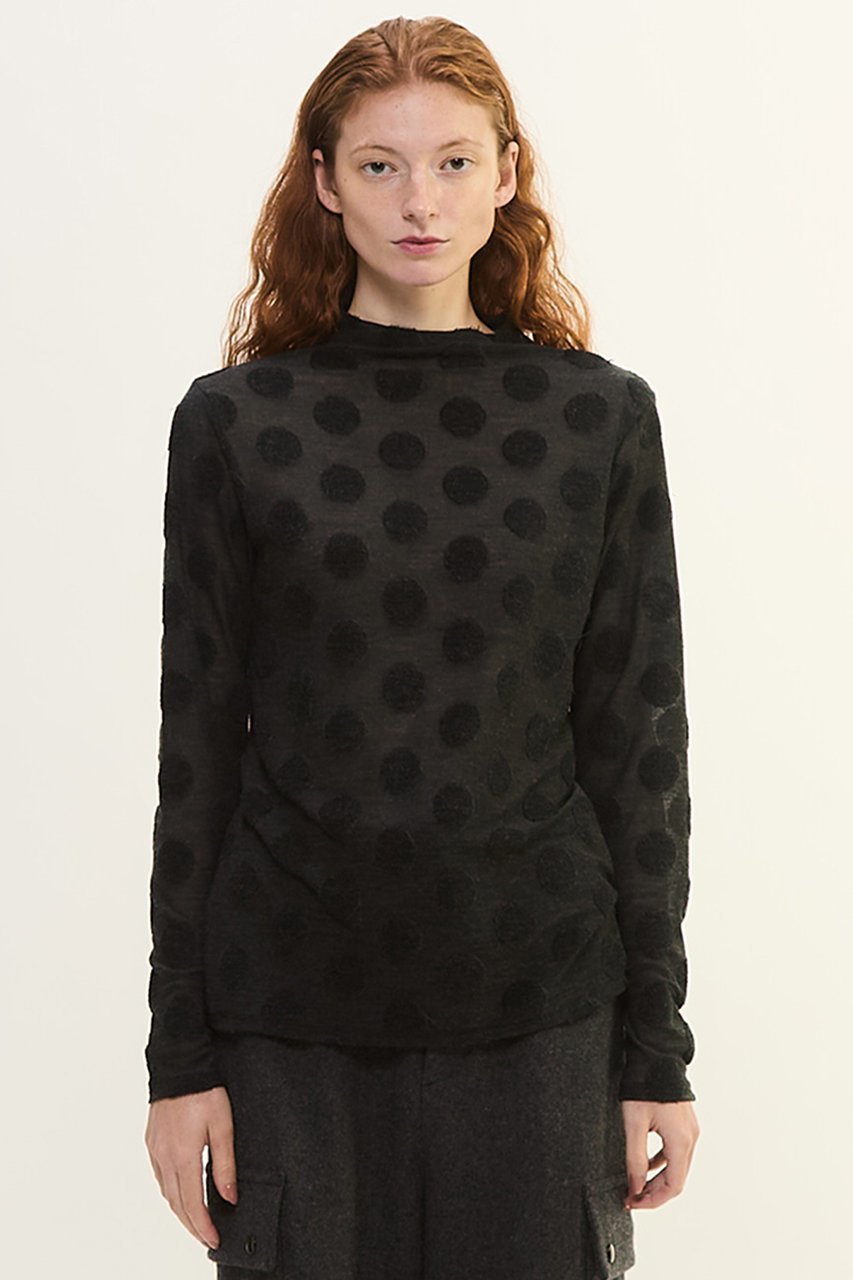 【プレインピープル/PLAIN PEOPLE】のドットジャージハイネックTシャツ 人気、トレンドファッション・服の通販 founy(ファニー) 　ファッション　Fashion　レディースファッション　Fashion for Women　トップス・カットソー　Cut & Sew Tops　シャツ・ブラウス・オフィスカジュアル　Elegant Blouses & Button-Ups　ロングTシャツ・Tシャツ　Longline T-Shirts & Tees　カットソー・ベーシックTシャツ　Cut-and-Sewn Tops / Stretch Tees & Basics　インナー　Innerwear　シアー　Sheer, See-Through　スリーブ　Sleeve, Long Sleeve / Short Sleeve　ドット　Polka Dot, Dot Pattern　フィット　Fit, Slim Fit　ロング　Long, Long-Length　冬　Winter / This Winter　other-2|ID: prp329100004874880 ipo3291000000036361151