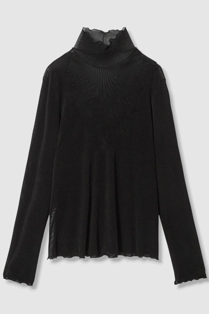 【アナイ/ANAYI】のチュールフロッキータートル プルオーバー インテリア・キッズ・メンズ・レディースファッション・服の通販 founy(ファニー) 　ファッション　Fashion　レディースファッション　Fashion for Women　トップス・カットソー　Cut & Sew Tops　シャツ・ブラウス・オフィスカジュアル　Elegant Blouses & Button-Ups　ロングTシャツ・Tシャツ　Longline T-Shirts & Tees　カジュアルプルオーバー・ニットトップス　Pullovers & Knit Tops / Casual Pullovers　カットソー・ベーシックTシャツ　Cut-and-Sewn Tops / Stretch Tees & Basics　おすすめ　Recommended / Our Picks　インナー　Innerwear　カットソー　Cut and Sewn Top　シアー　Sheer, See-Through　スタンド　Stand Collar, Upright Stand　ストレッチ　Stretch, Stretchy Fabric　スリーブ　Sleeve, Long Sleeve / Short Sleeve　ベロア　Velour, Soft Velvet　ロング　Long, Long-Length　秋　Autumn　ブラック|ID: prp329100004876544 ipo3291000000036373853