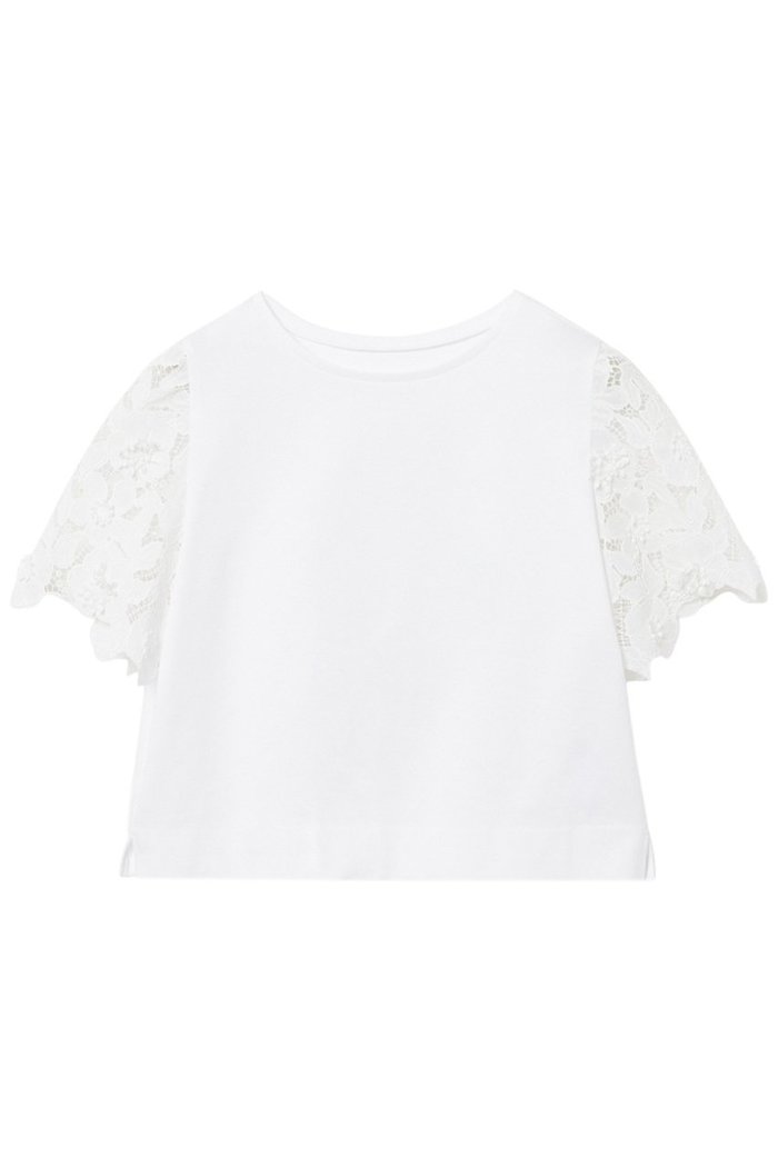 【アナイ/ANAYI】のコンパクトポンチスカラップ袖 プルオーバー インテリア・キッズ・メンズ・レディースファッション・服の通販 founy(ファニー) https://founy.com/ ファッション Fashion レディースファッション Fashion for Women トップス・カットソー Cut & Sew Tops シャツ・ブラウス・オフィスカジュアル Elegant Blouses & Button-Ups ロングTシャツ・Tシャツ Longline T-Shirts & Tees カジュアルプルオーバー・ニットトップス Pullovers & Knit Tops / Casual Pullovers カットソー・ベーシックTシャツ Cut-and-Sewn Tops / Stretch Tees & Basics カットソー Cut and Sewn Top クロップド Cropped, Short Length コンパクト Compact, Small Size コンビ Combo, Combination Style ショート Short, Short Length スリーブ Sleeve, Long Sleeve / Short Sleeve フラワー Flower, Floral レース Lace, Lace Fabric ワーク Workwear, Utility Style エレガント 上品 Elegant 再入荷 Restock / Back in Stock |ID: prp329100004876545 ipo3291000000036373861