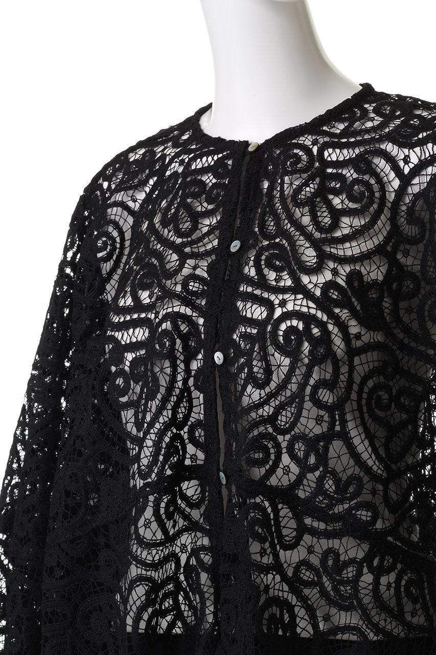 【ランバン オン ブルー/LANVIN en Bleu】のケミカルレースフレアブラウス 人気、トレンドファッション・服の通販 founy(ファニー) 　ファッション　Fashion　レディースファッション　Fashion for Women　トップス・カットソー　Cut & Sew Tops　シャツ・ブラウス・オフィスカジュアル　Elegant Blouses & Button-Ups　ケミカル　Chemical, Chemical Wash　スリーブ　Sleeve, Long Sleeve / Short Sleeve　フリル　Frill, Ruffle　フレア　Flare, Flared　フロント　Front, Front Design　モダン　Modern, Contemporary　レース　Lace, Lace Fabric　ロング　Long, Long-Length　other-5|ID: prp329100004878033 ipo3291000000036389481