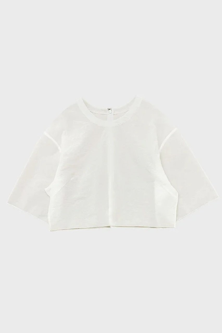 【スタニングルアー/STUNNING LURE】のシアーストレッチクロップドT 人気、トレンドファッション・服の通販 founy(ファニー) 　ファッション　Fashion　レディースファッション　Fashion for Women　トップス・カットソー　Cut & Sew Tops　シャツ・ブラウス・オフィスカジュアル　Elegant Blouses & Button-Ups　ロングTシャツ・Tシャツ　Longline T-Shirts & Tees　カットソー・ベーシックTシャツ　Cut-and-Sewn Tops / Stretch Tees & Basics　クロップド　Cropped, Short Length　コンパクト　Compact, Small Size　ショート　Short, Short Length　シンプル　Simple, Minimal　スリーブ　Sleeve, Long Sleeve / Short Sleeve　トレンド　Trend, Trending Now　バランス　Balance, Style Balance　ボトム　Bottoms, Lower Wear　新作・新入荷　New Arrivals / New In　軽量　Lightweight, Ultra Light　 other-1|ID: prp329100004879741 ipo3291000000036412299