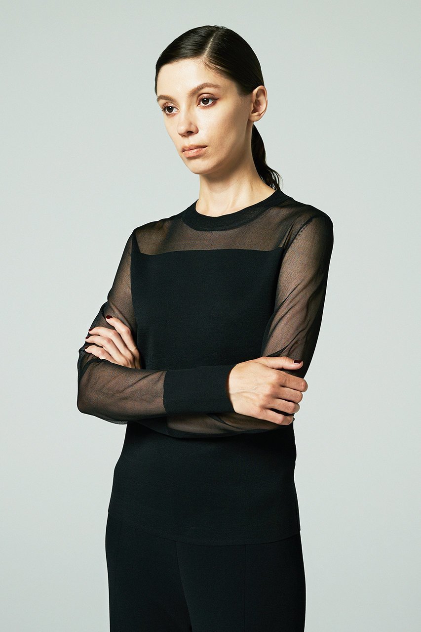 【オーヴィル/EAUVIRE】のシアーシルクプルオーバー 人気、トレンドファッション・服の通販 founy(ファニー) 　ファッション　Fashion　レディースファッション　Fashion for Women　トップス・カットソー　Cut & Sew Tops　シャツ・ブラウス・オフィスカジュアル　Elegant Blouses & Button-Ups　カジュアルプルオーバー・ニットトップス　Pullovers & Knit Tops / Casual Pullovers　イタリア　Italy　インナー　Innerwear　オーガニック　Organic Cotton　コンパクト　Compact, Small Size　シアー　Sheer, See-Through　シルク　Silk, 100% Silk　スリーブ　Sleeve, Long Sleeve / Short Sleeve　フィット　Fit, Slim Fit　ロング　Long, Long-Length　other-4|ID: prp329100004881275 ipo3291000000036433823