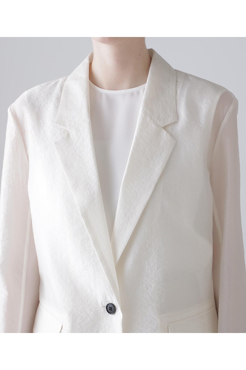 【アドーア/ADORE】のシルキーオーガンザジャケット 人気、トレンドファッション・服の通販 founy(ファニー) 　ファッション　Fashion　レディースファッション　Fashion for Women　アウター　Coat / Outerwear Collection　レディースジャケット・軽アウター　Jackets　オーガンジー　Organza Fabric　ジャケット　Jacket, Outerwear　テーラード　Tailored, Tailored Fit　ルーズ　Loose, Oversized　other-6|ID: prp329100004881731 ipo3291000000036437417