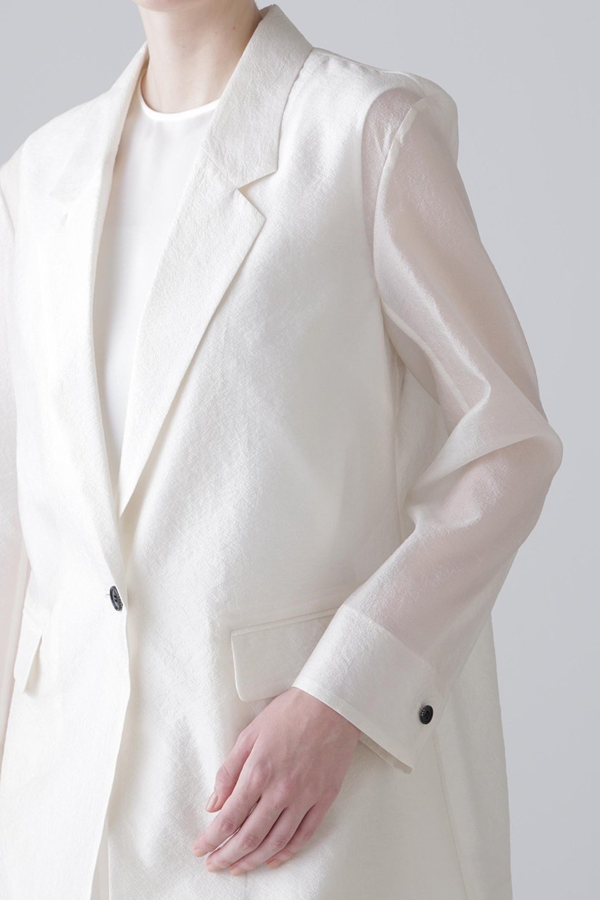 【アドーア/ADORE】のシルキーオーガンザジャケット 人気、トレンドファッション・服の通販 founy(ファニー) 　ファッション　Fashion　レディースファッション　Fashion for Women　アウター　Coat / Outerwear Collection　レディースジャケット・軽アウター　Jackets　オーガンジー　Organza Fabric　ジャケット　Jacket, Outerwear　テーラード　Tailored, Tailored Fit　ルーズ　Loose, Oversized　other-7|ID: prp329100004881731 ipo3291000000036437420