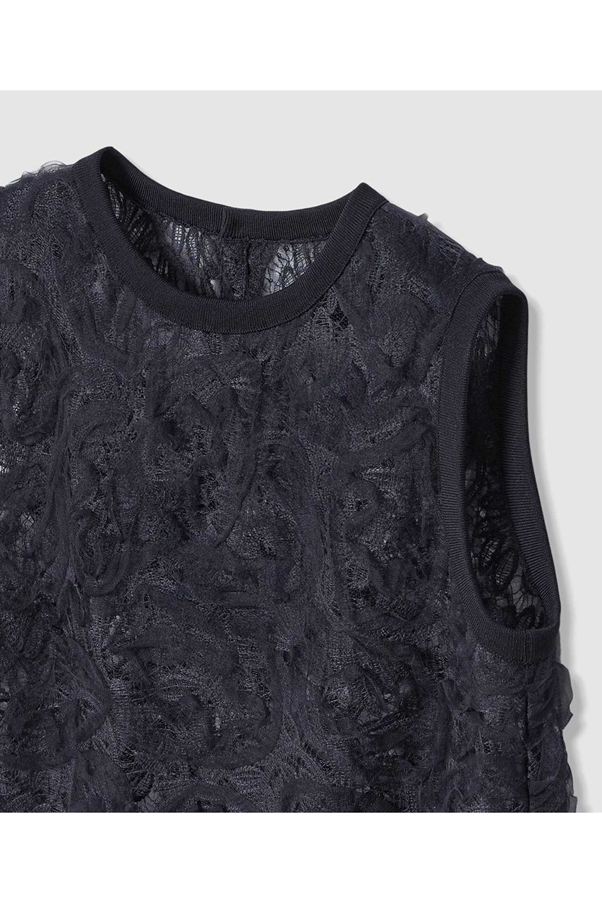 【アナイ/ANAYI】のチュールコードレース プルオーバー 人気、トレンドファッション・服の通販 founy(ファニー) 　ファッション　Fashion　レディースファッション　Fashion for Women　トップス・カットソー　Cut & Sew Tops　キャミソール&ノースリーブ　Camisoles & Sleeveless Tops　シャツ・ブラウス・オフィスカジュアル　Elegant Blouses & Button-Ups　カジュアルプルオーバー・ニットトップス　Pullovers & Knit Tops / Casual Pullovers　おすすめ　Recommended / Our Picks　ジャケット　Jacket, Outerwear　スカラップ　Scallop, Scalloped Edge　チュール　Tulip, Tulip Motif　ノースリーブ　Sleeveless, No-Sleeve　ボタニカル　Botanical, Floral Pattern　レース　Lace, Lace Fabric　再入荷　Restock / Back in Stock　other-3|ID: prp329100004883003 ipo3291000000036449503