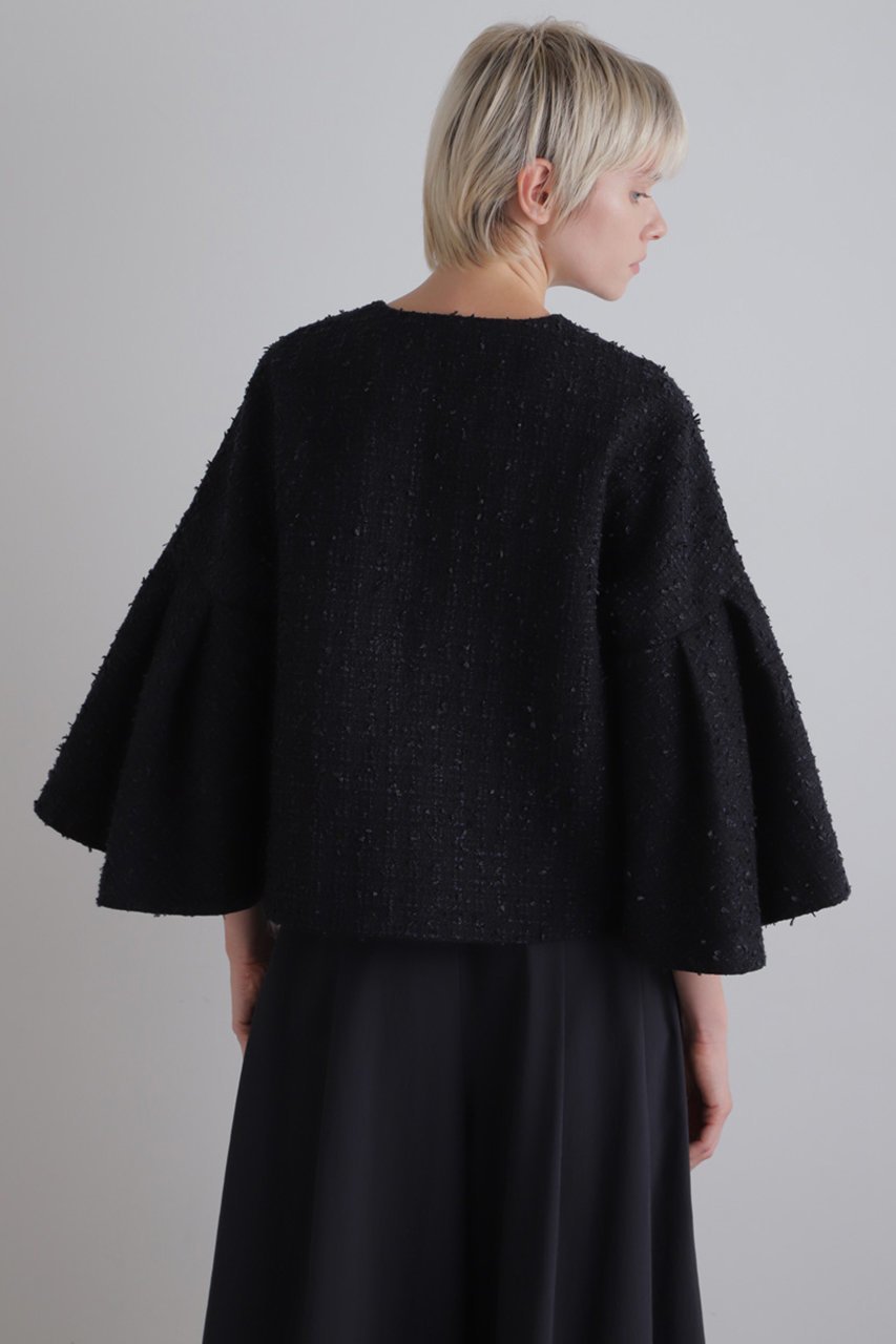 【ル フィル/LE PHIL】のフリンジツィードジャケット 人気、トレンドファッション・服の通販 founy(ファニー) 　ファッション　Fashion　レディースファッション　Fashion for Women　アウター　Coat / Outerwear Collection　レディースジャケット・軽アウター　Jackets　コンパクト　Compact, Small Size　ショート　Short, Short Length　ジャケット　Jacket, Outerwear　スリーブ　Sleeve, Long Sleeve / Short Sleeve　ツイード　Twill, Twill Weave　バランス　Balance, Style Balance　フレア　Flare, Flared　ボトム　Bottoms, Lower Wear　ミックス　Mix, Mixed Style　ロング　Long, Long-Length　エレガント 上品　Elegant　other-4|ID: prp329100004885094 ipo3291000000036466763