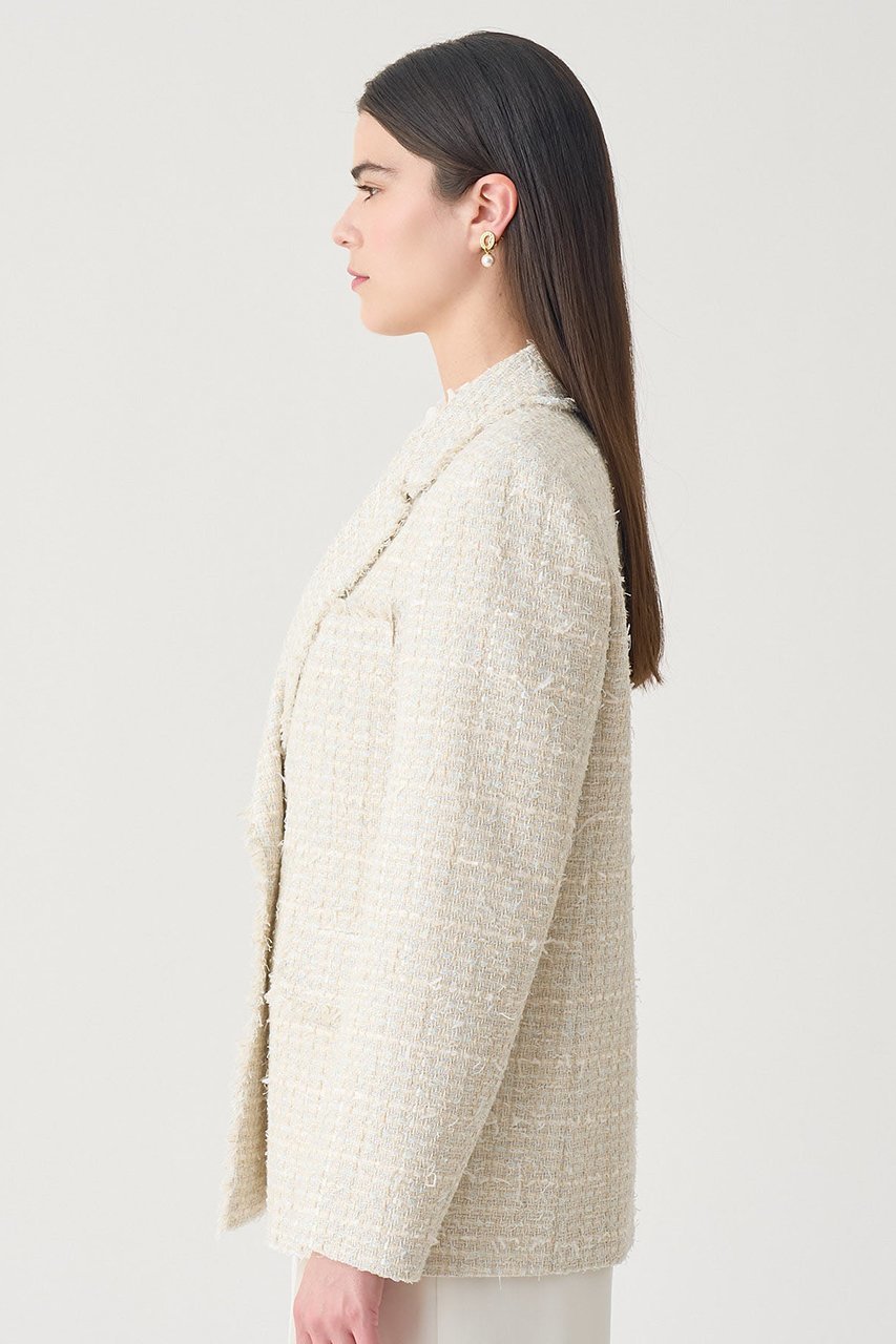 【アナイ/ANAYI】の【Eternal Line 2026】ミックスツイードダブル ジャケット 人気、トレンドファッション・服の通販 founy(ファニー) 　ファッション　Fashion　レディースファッション　Fashion for Women　アウター　Coat / Outerwear Collection　レディースジャケット・軽アウター　Jackets　おすすめ　Recommended / Our Picks　ジャケット　Jacket, Outerwear　セットアップ　Set-Up, Coordinated Outfit　セレモニー　Ceremony　ダブル　Double, Double-Breasted　ツイード　Twill, Twill Weave　バランス　Balance, Style Balance　フロント　Front, Front Design　ミックス　Mix, Mixed Style　エレガント 上品　Elegant　ビジネス 仕事 通勤　Business / Work / Commuting　other-6|ID: prp329100004885300 ipo3291000000036469587