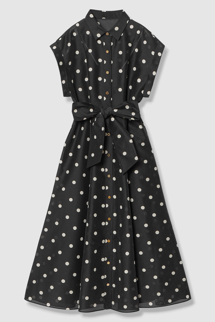 【アルアバイル/allureville】の【LOULOU WILLOUGHBY】オーガンドットワンピース インテリア・キッズ・メンズ・レディースファッション・服の通販 founy(ファニー) 　ファッション　Fashion　レディースファッション　Fashion for Women　ワンピース　Dresses　チュニック　Tunic Tops & Dresses　オーガンジー　Organza Fabric　チュニック　Tunic, Long Top　ドット　Polka Dot, Dot Pattern　フィット　Fit, Slim Fit　フレア　Flare, Flared　プリント　Print, Printed Pattern　リボン　Ribbon, Bow　ロング　Long, Long-Length　エレガント 上品　Elegant　新作・新入荷　New Arrivals / New In　ブラック|ID: prp329100004888553 ipo3291000000036506957