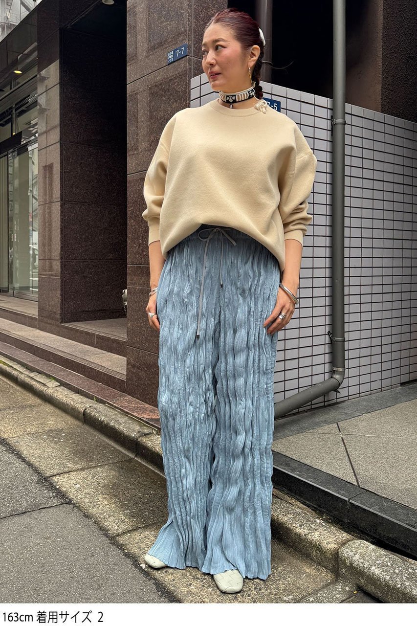 【スタニングルアー/STUNNING LURE】のrシェルプリーツパンツ 大人の最旬トレンドファッション＆コーディネート founy(ファウニー) 　ファッション　Fashion　レディースファッション　Fashion for Women　パンツ　Pants & Trousers　コンパクト　Compact, Small Size　シンプル　Simple, Minimal　プリーツ　Pleats, Pleated　リラックス　Relax, Relaxed Fit　旅行　Travel　other-6|ID: prp329100004888695 ipo3291000000036793687