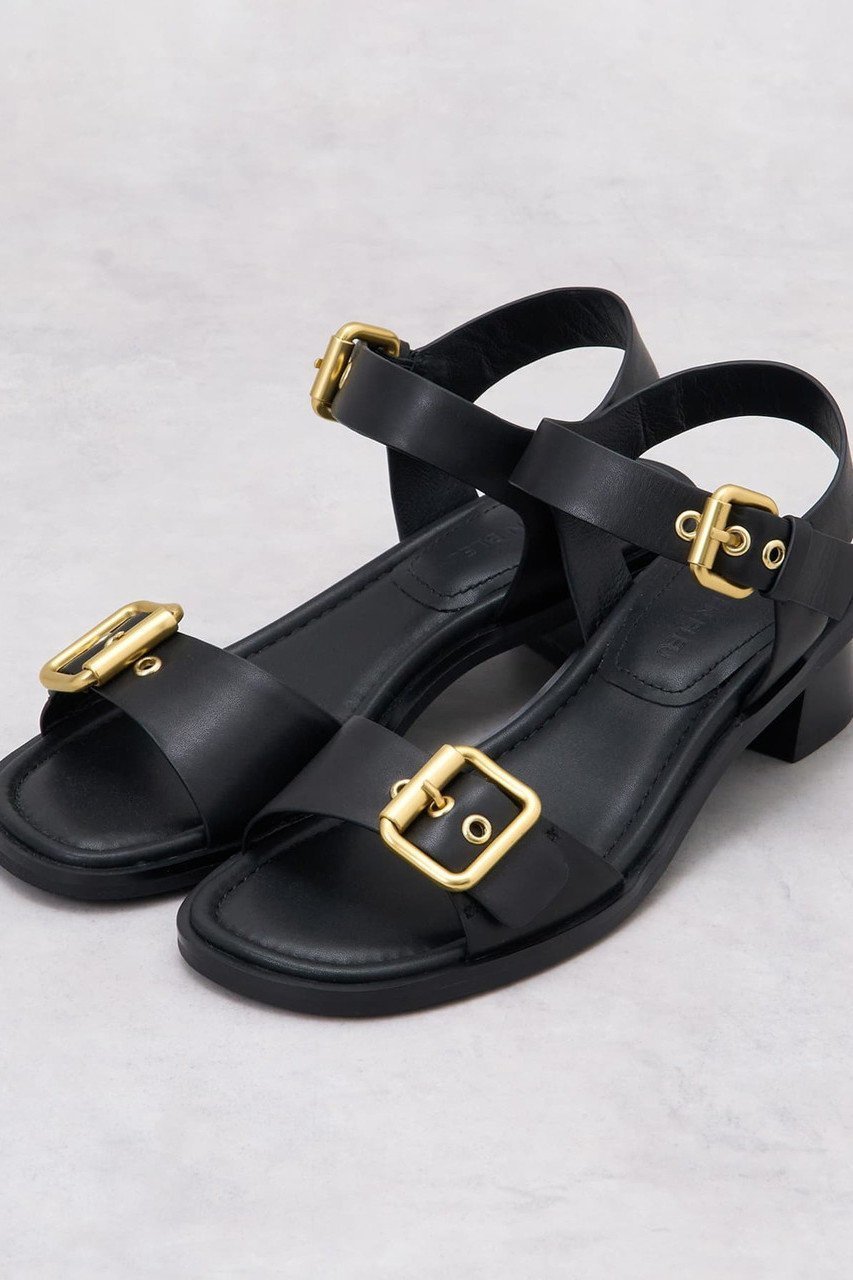 【ランバン オン ブルー/LANVIN en Bleu】のレザーベルトサンダル インテリア・キッズ・メンズ・レディースファッション・服の通販 founy(ファニー) 　ファッション　Fashion　レディースファッション　Fashion for Women　ベルト&ウエストマーク　Belts & Waist Accessories　クラシック　Classic, Timeless Style　サンダル　Sandals, Summer Shoes　フィット　Fit, Slim Fit　エレガント 上品　Elegant　ブラック|ID: prp329100004889669 ipo3291000000036536186